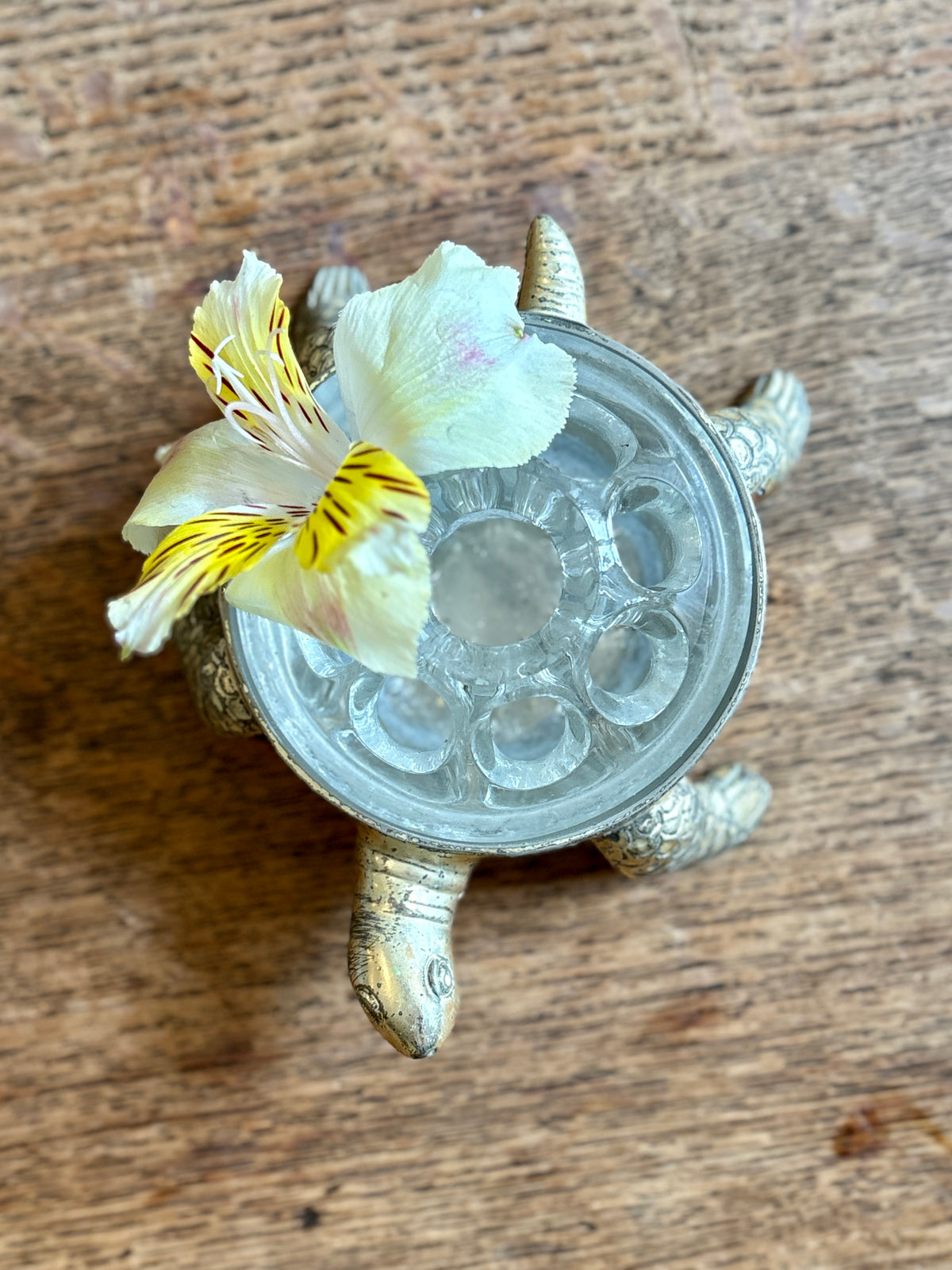 Pique fleur vintage tortue