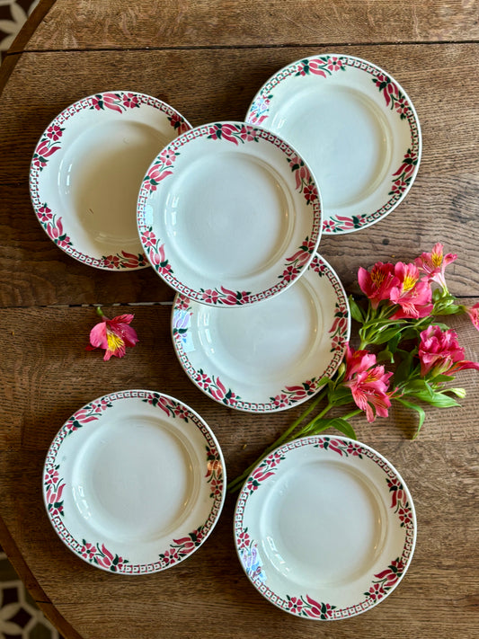 Lot de 6 assiettes plates anciennes - Saint Amand Céranord