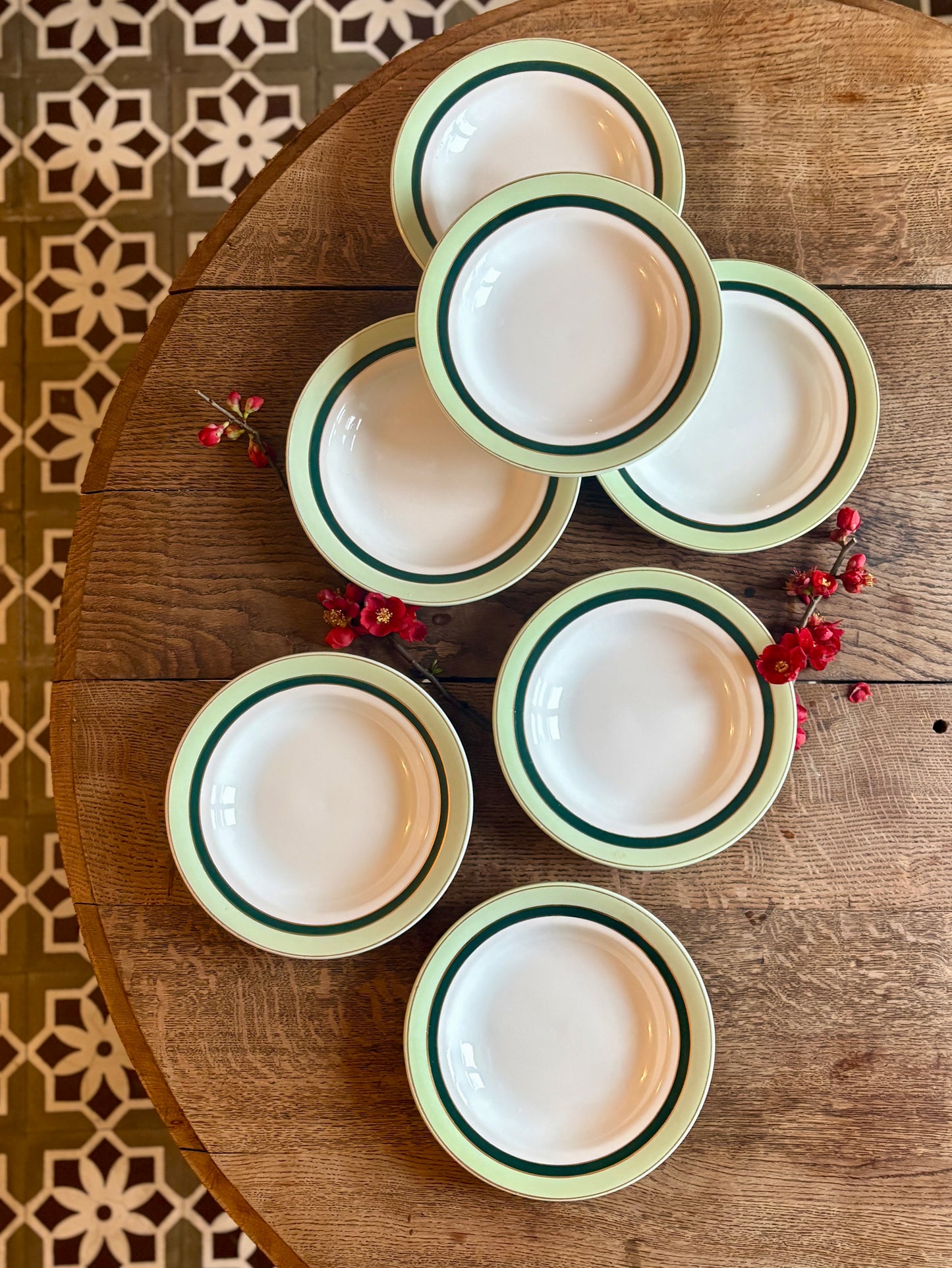 Lot de 7 assiettes creuses anciennes Salins - texas vert -