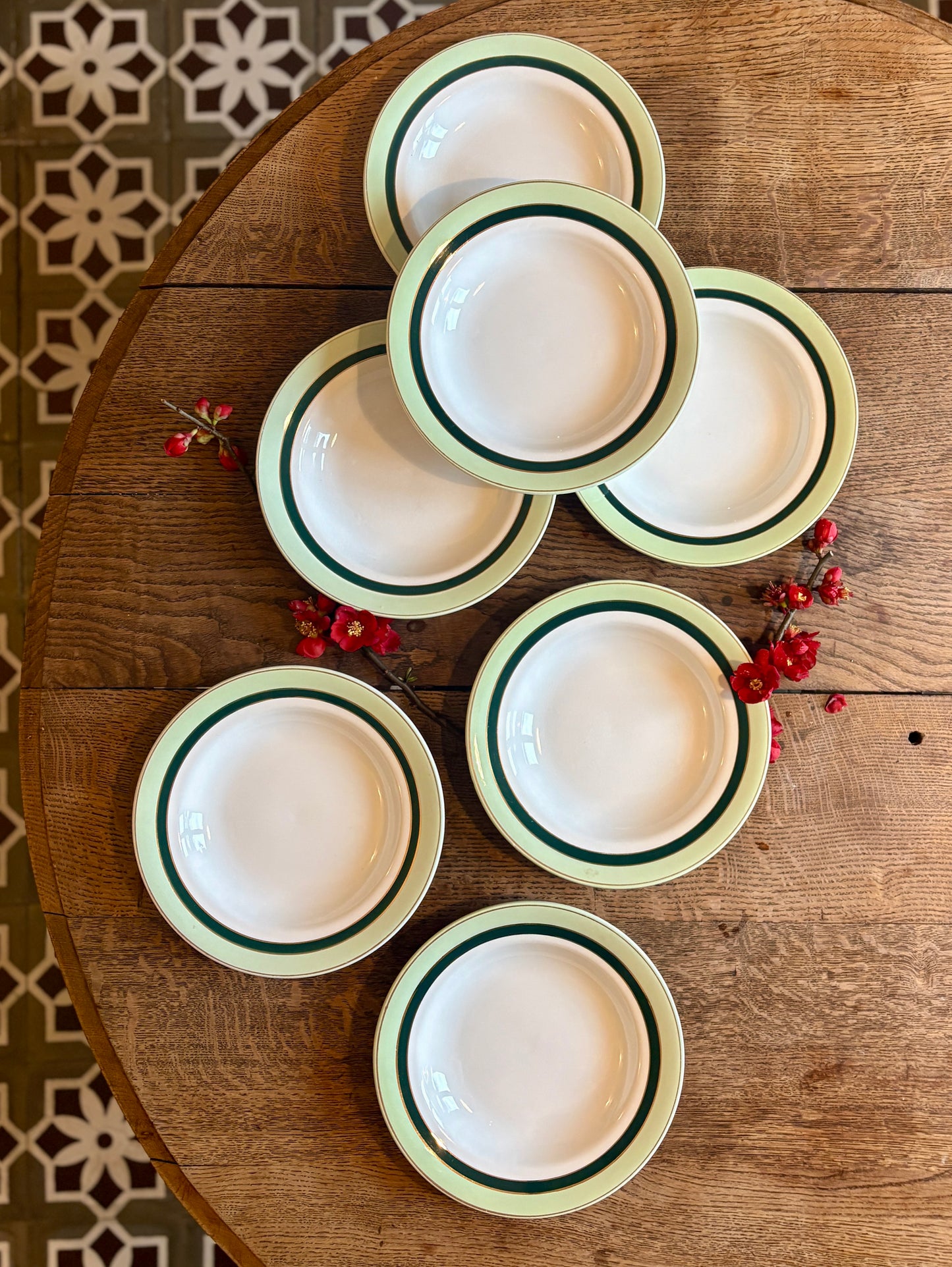 Lot de 7 assiettes creuses anciennes Salins - texas vert -