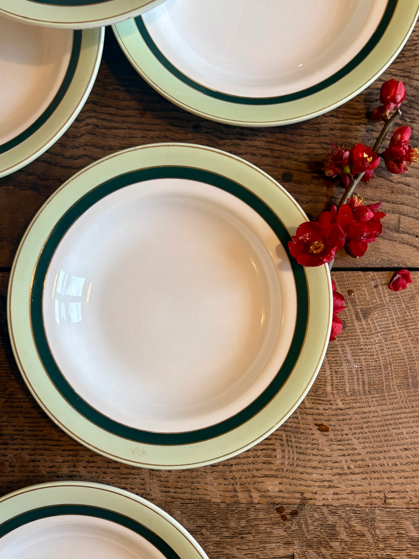 Lot de 7 assiettes creuses anciennes Salins - texas vert -