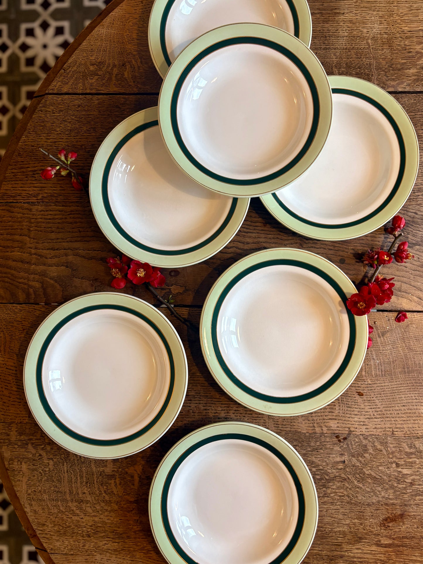 Lot de 7 assiettes creuses anciennes Salins - texas vert -