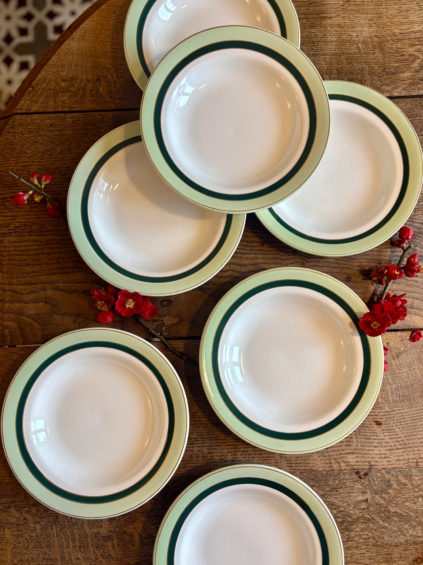 Lot de 7 assiettes creuses anciennes Salins - texas vert -