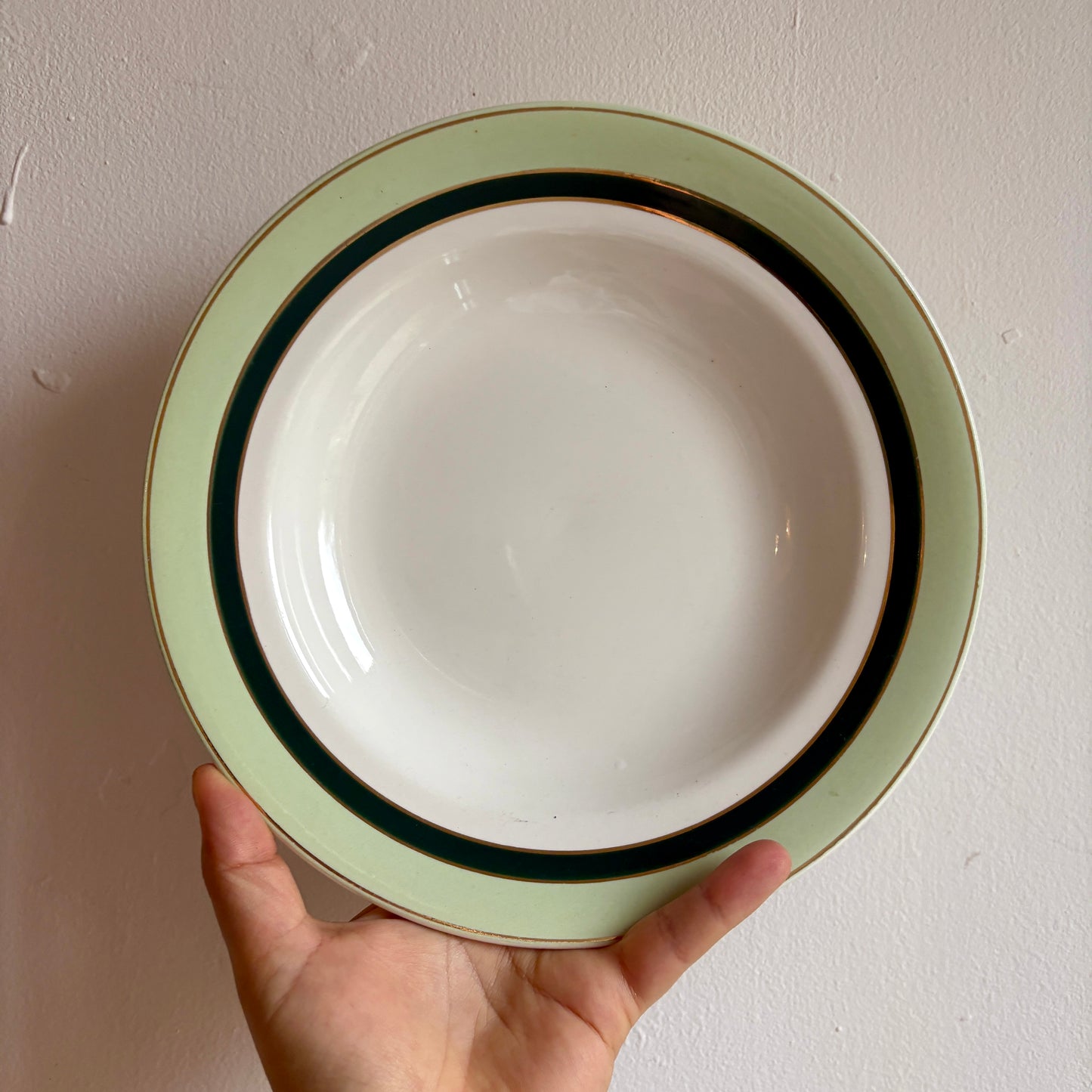 Lot de 7 assiettes creuses anciennes Salins - texas vert -