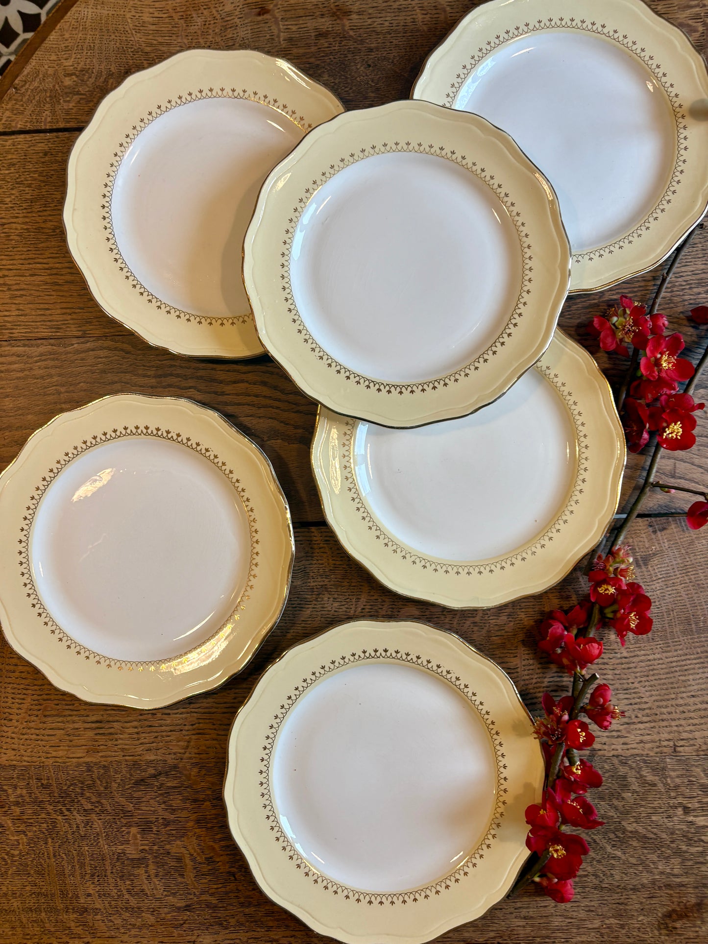 Lot de 6 assiettes plates vintage blanches avec frise jaune et dorée