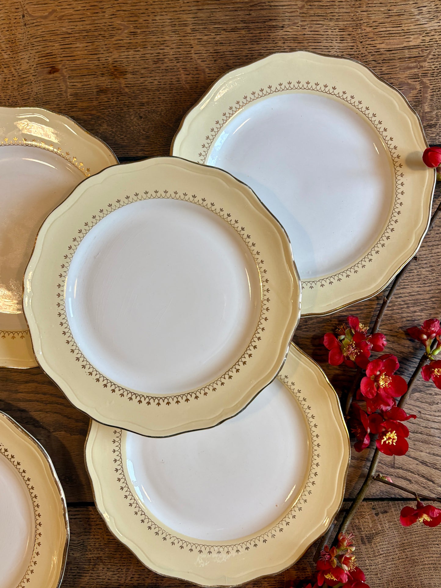 Lot de 6 assiettes plates vintage blanches avec frise jaune et dorée