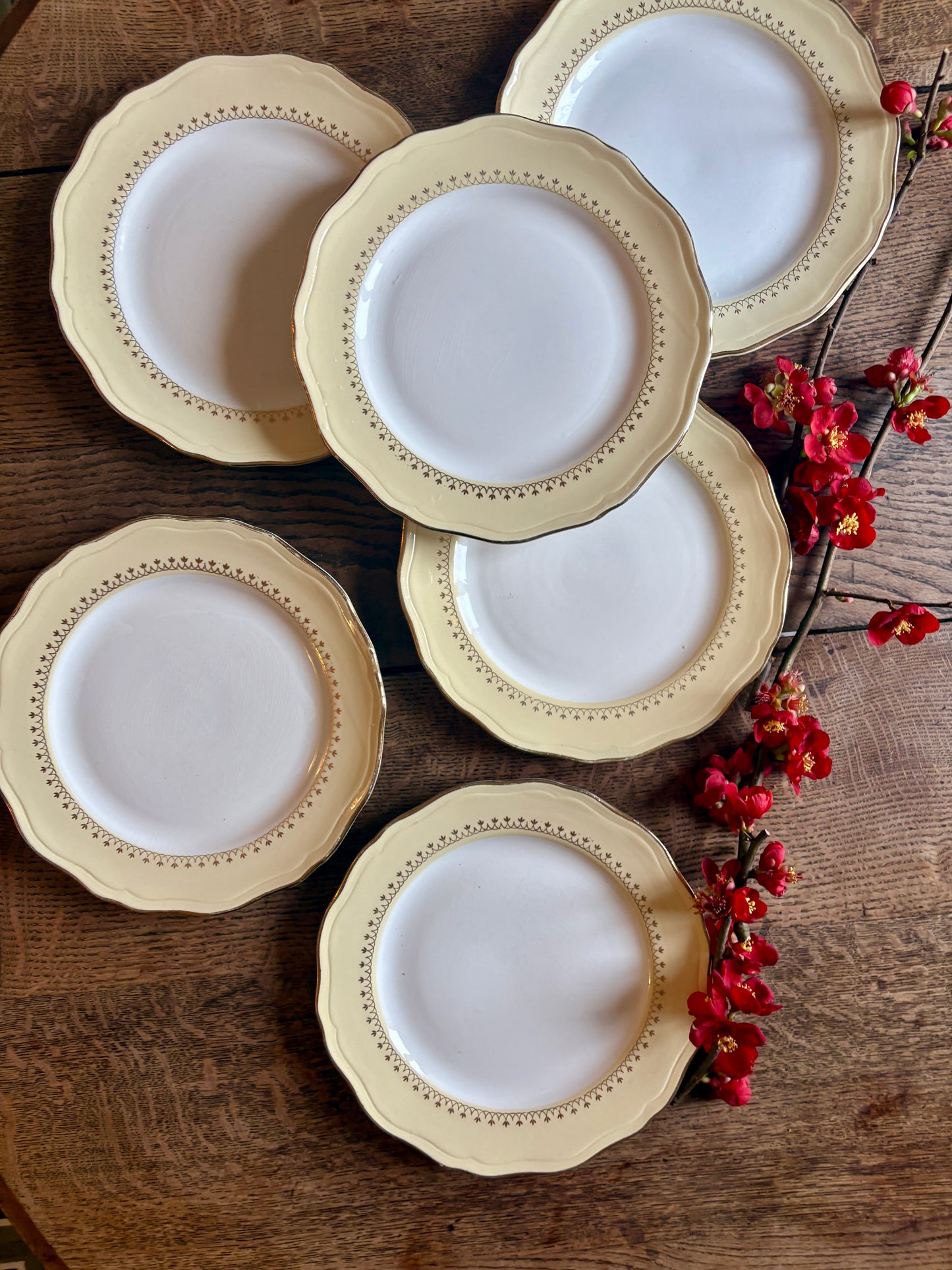 Lot de 6 assiettes plates vintage blanches avec frise jaune et dorée