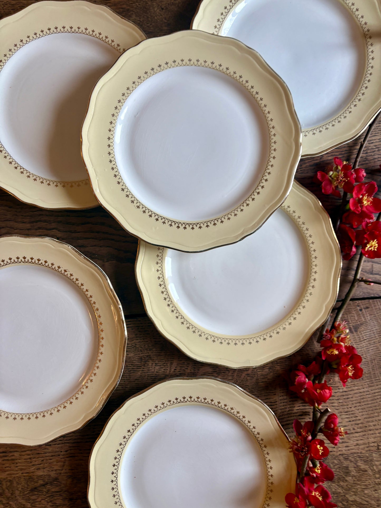 Lot de 6 assiettes plates vintage blanches avec frise jaune et dorée