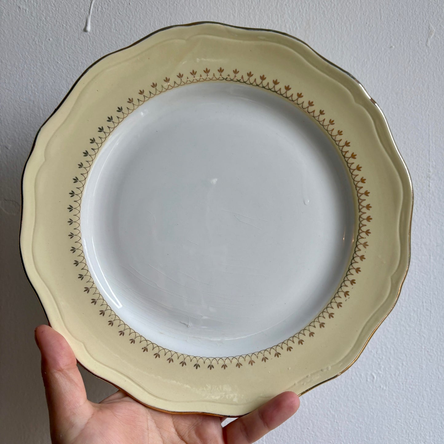 Lot de 6 assiettes plates vintage blanches avec frise jaune et dorée