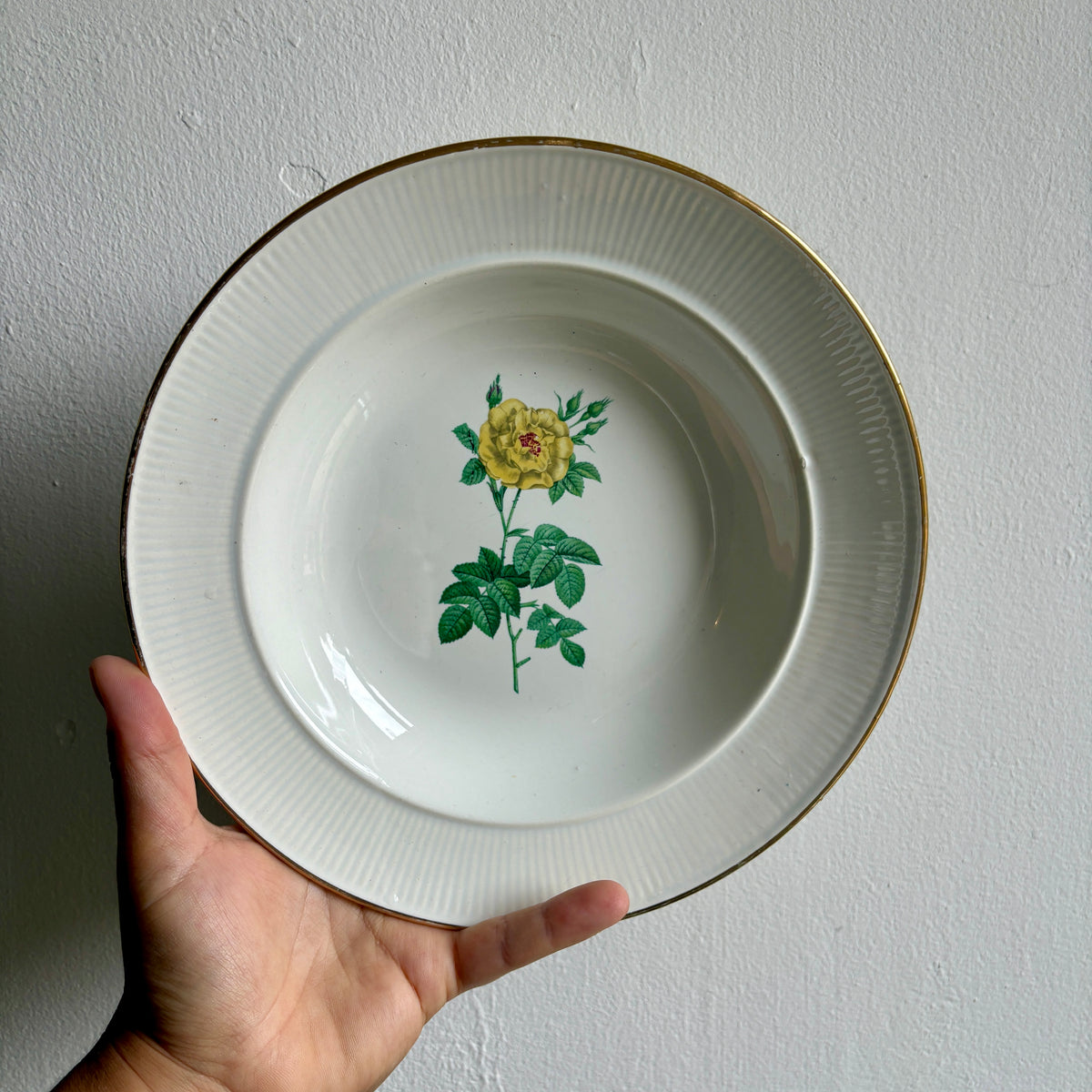 Lot de 6 assiettes creuses anciennes dépareillées (L15)