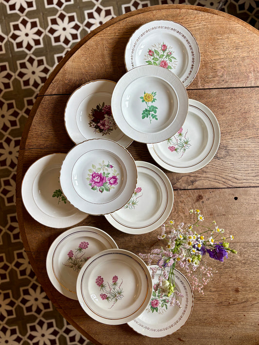 Lot de 10 assiettes creuses anciennes dépareillées (L14)