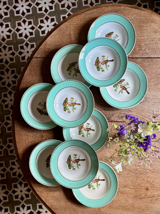 Lot de 10 assiettes creuses vintage décors d'oiseaux