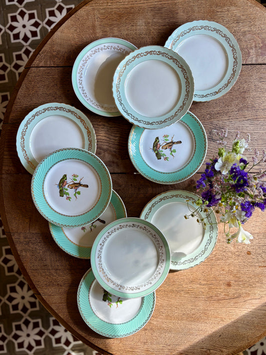 Lot de 10 assiettes plates vintage dépareillées (L12)