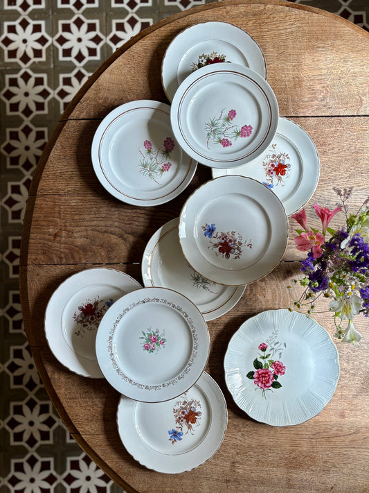 Lot de 10 assiettes plates vintage dépareillées (L16)