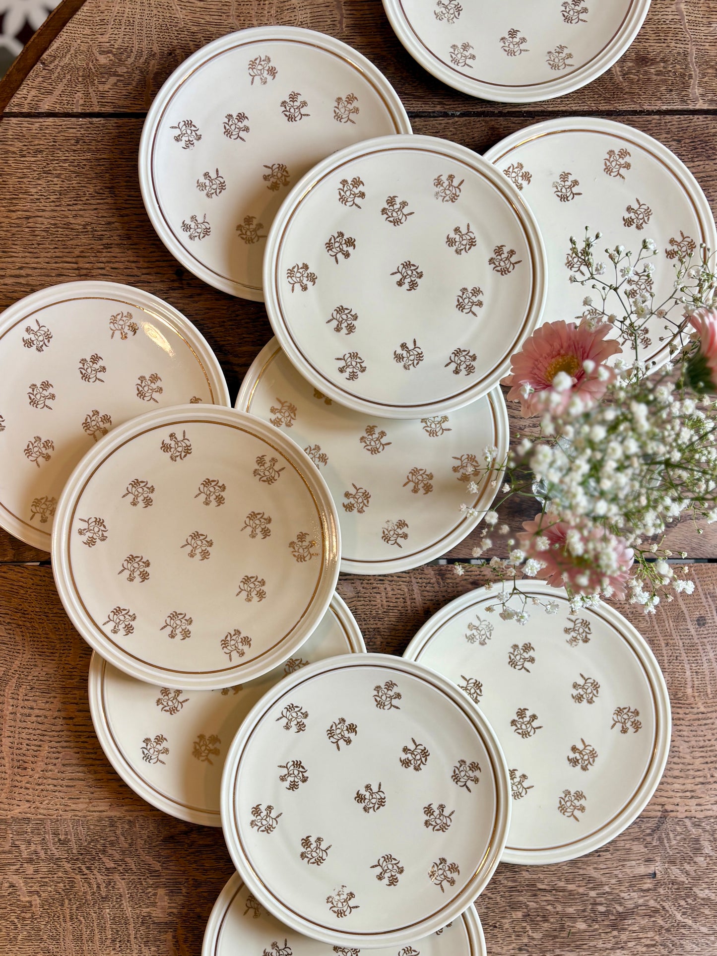 Lot de 11 assiettes à dessert vintage en porcelaine de Limoges