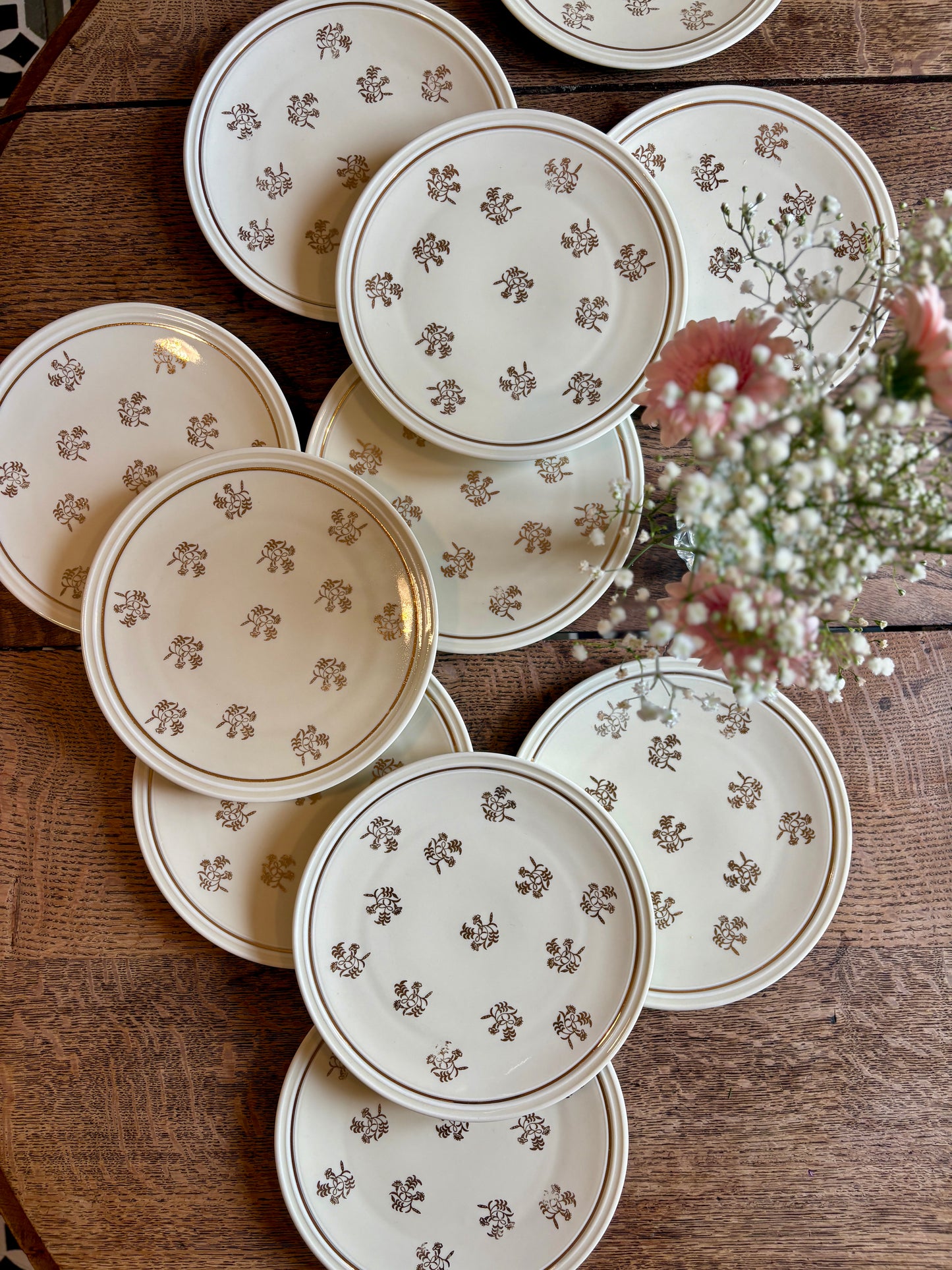 Lot de 11 assiettes à dessert vintage en porcelaine de Limoges