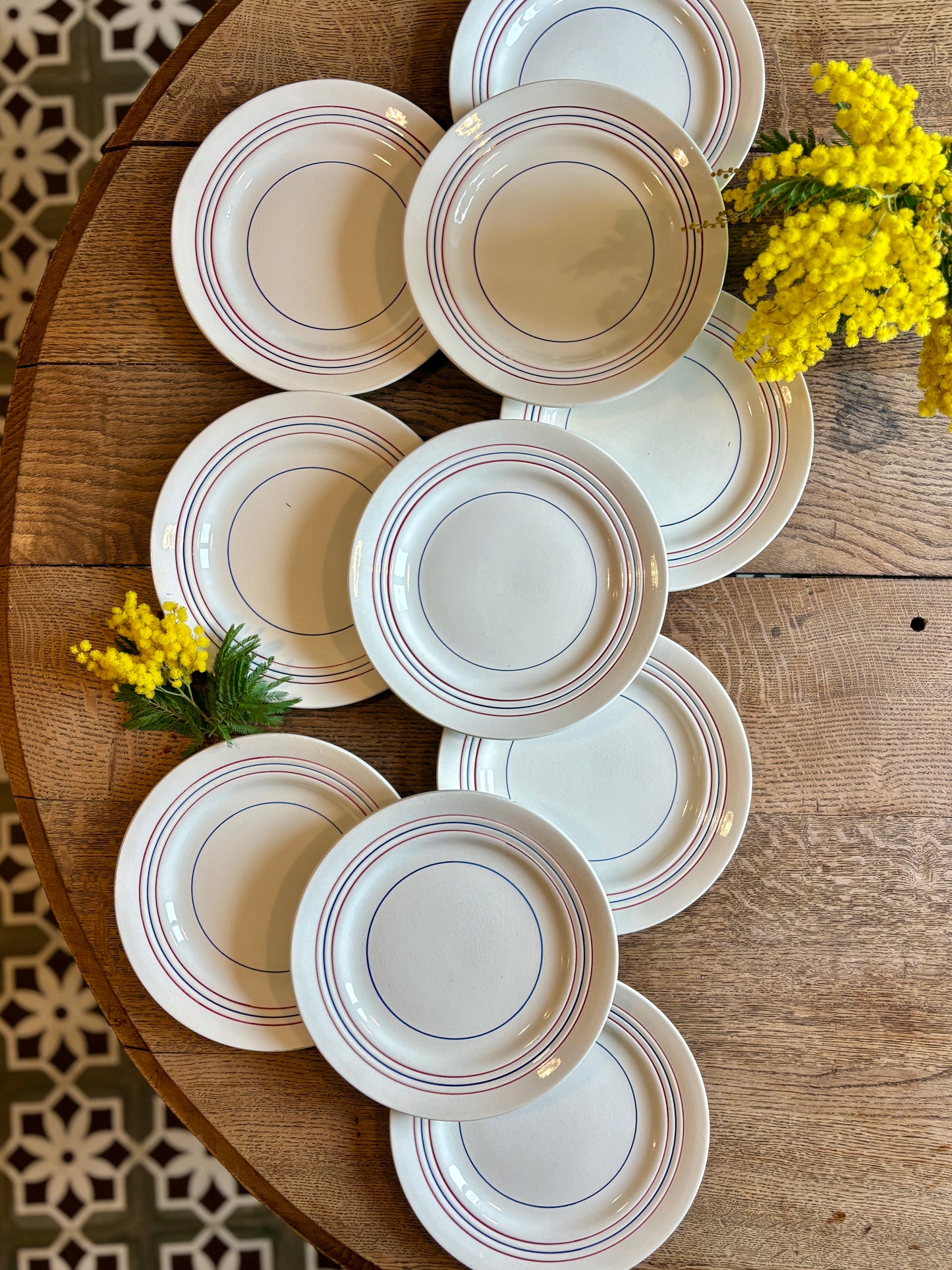 Lot de 10 assiettes plates vintage en semi-porcelaine Céranord