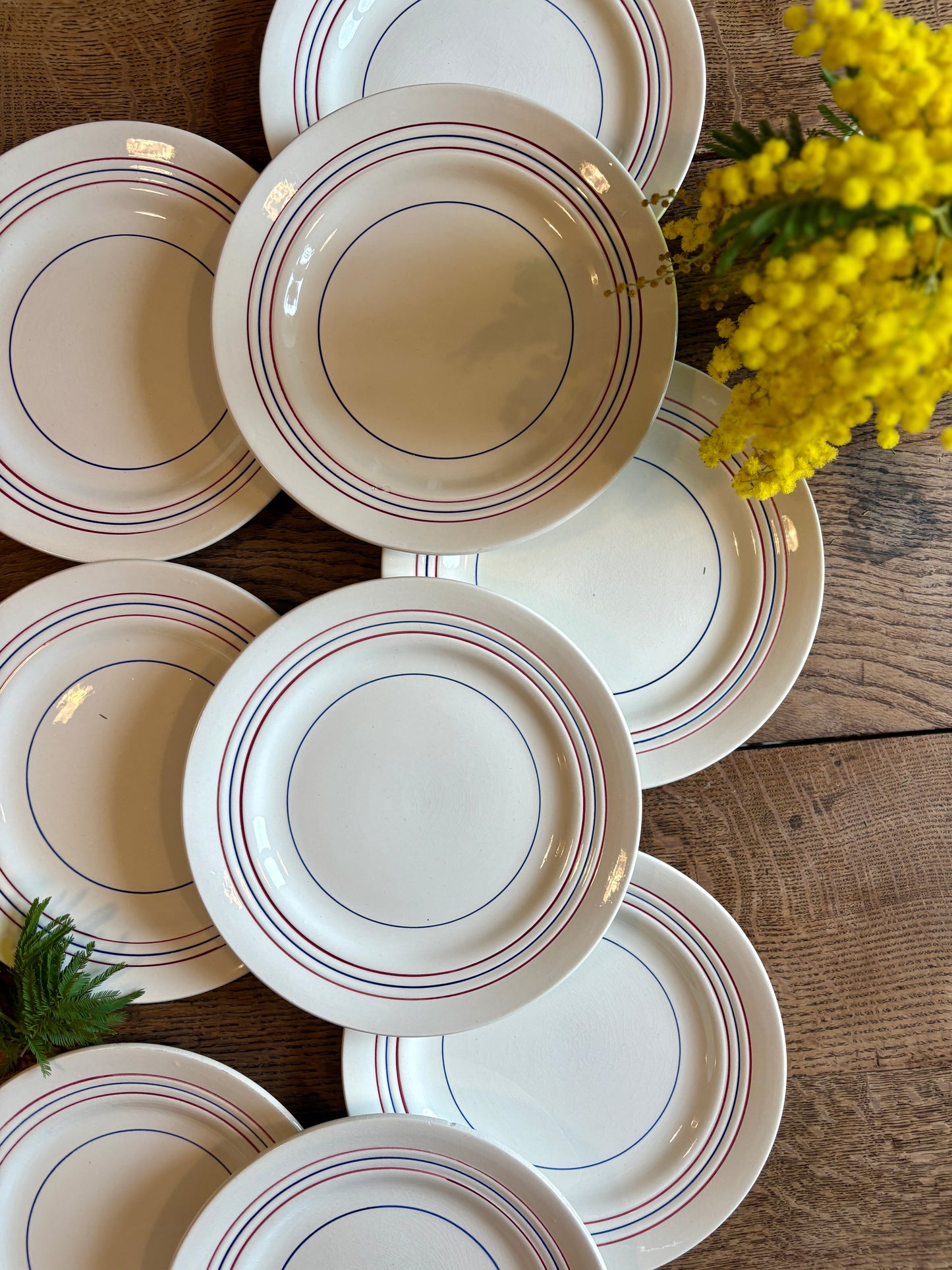 Lot de 10 assiettes plates vintage en semi-porcelaine Céranord