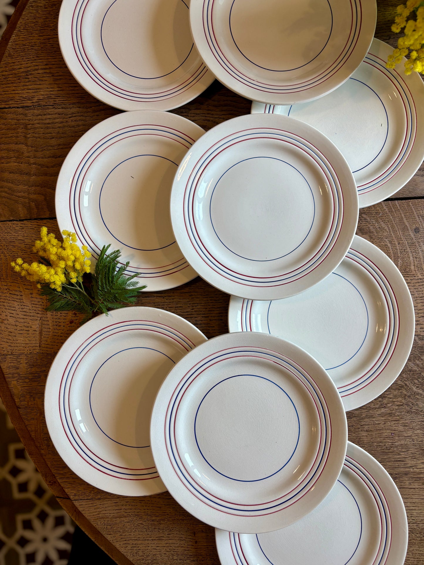 Lot de 10 assiettes plates vintage en semi-porcelaine Céranord