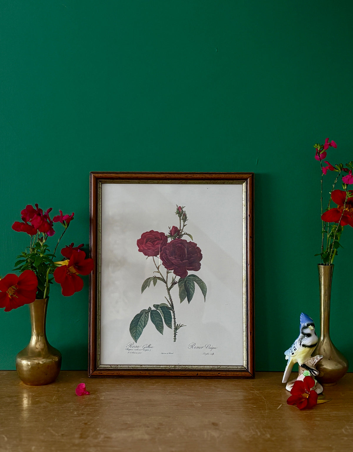 Cadre ancien rose rouge Redouté