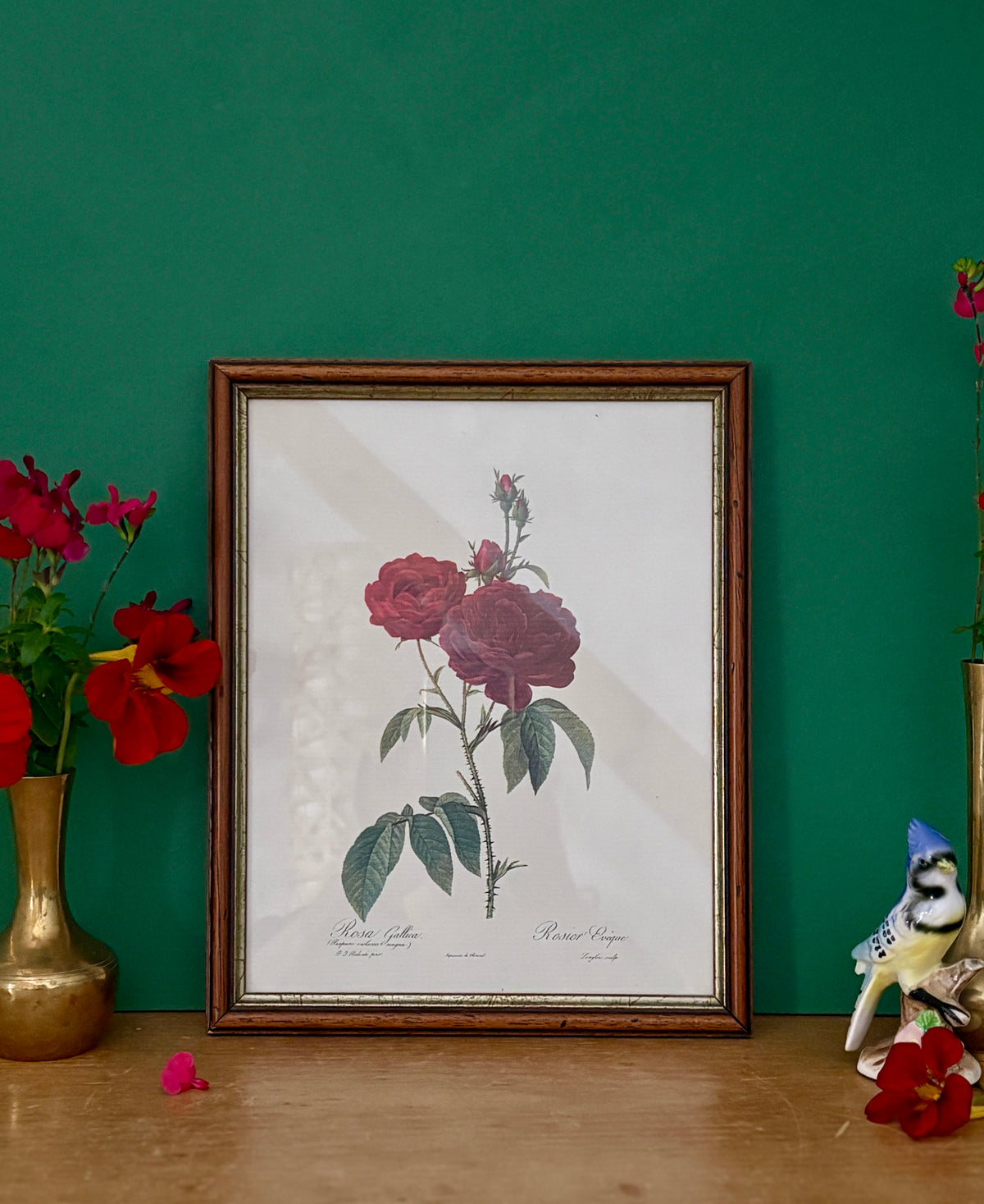 Cadre ancien rose rouge Redouté