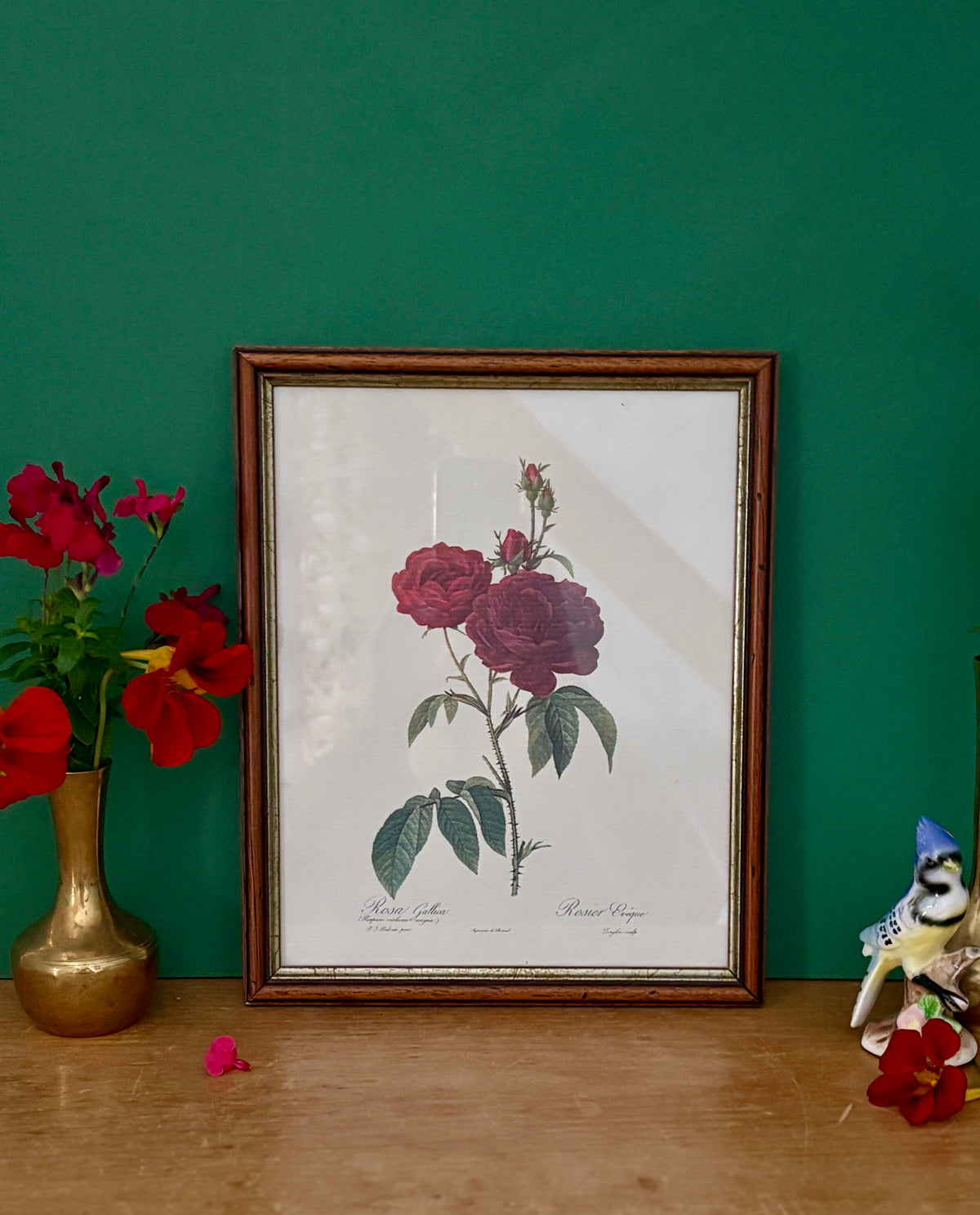 Cadre ancien rose rouge Redouté