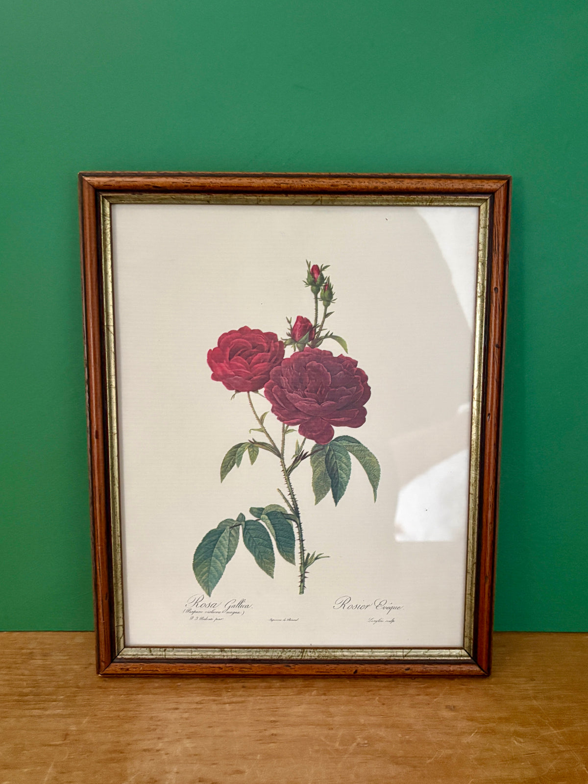 Cadre ancien rose rouge Redouté