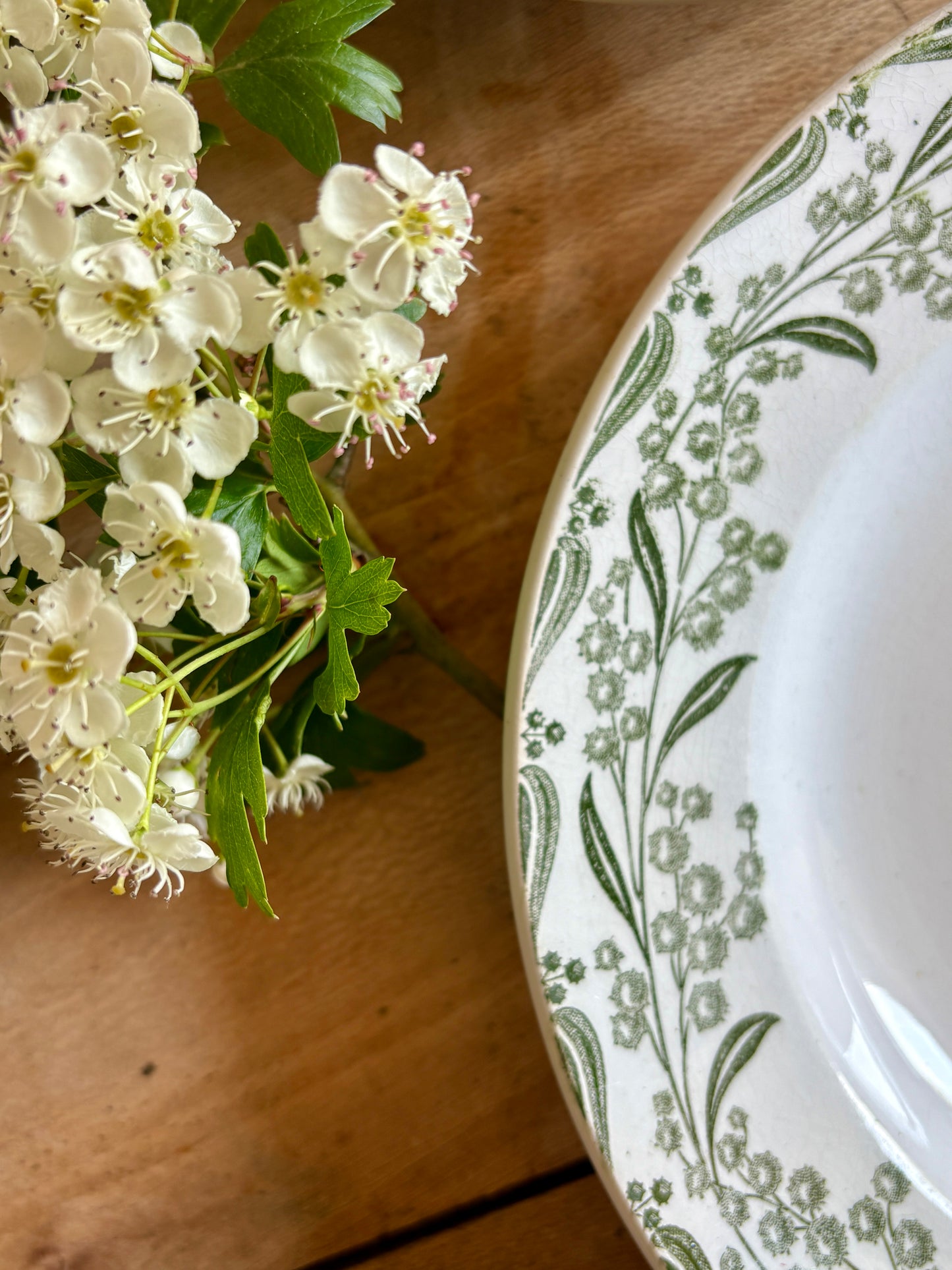 Lot de 6 assiettes vintage en terre de fer dépareillées