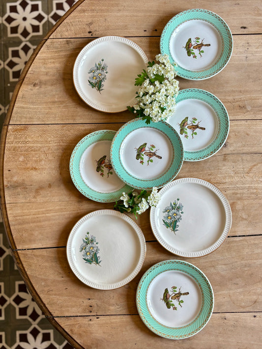 Lot de 8 assiettes à dessert vintage dépareillées décors d'oiseaux et de marguerites