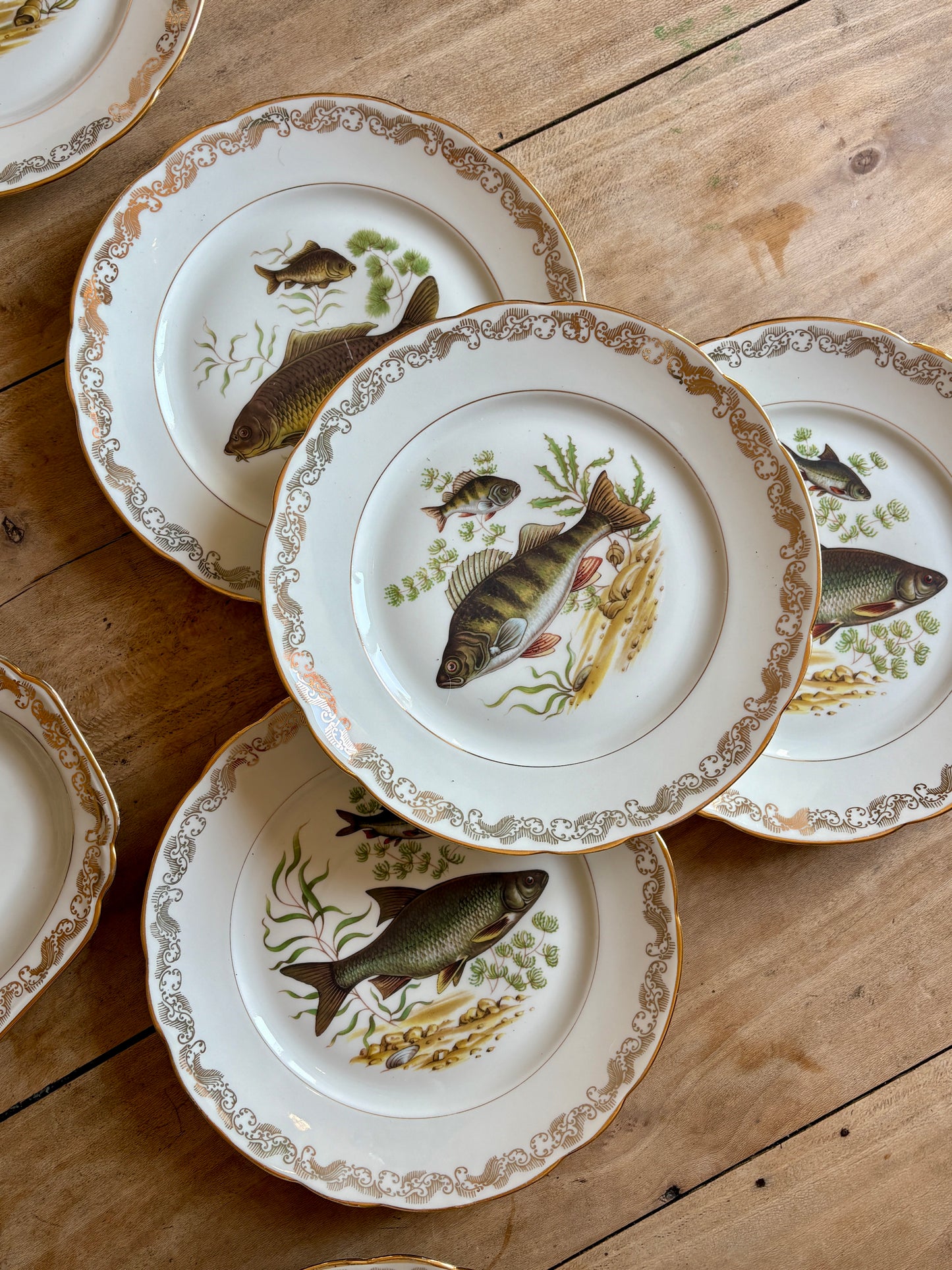Service de table à poisson vintage en porcelaine