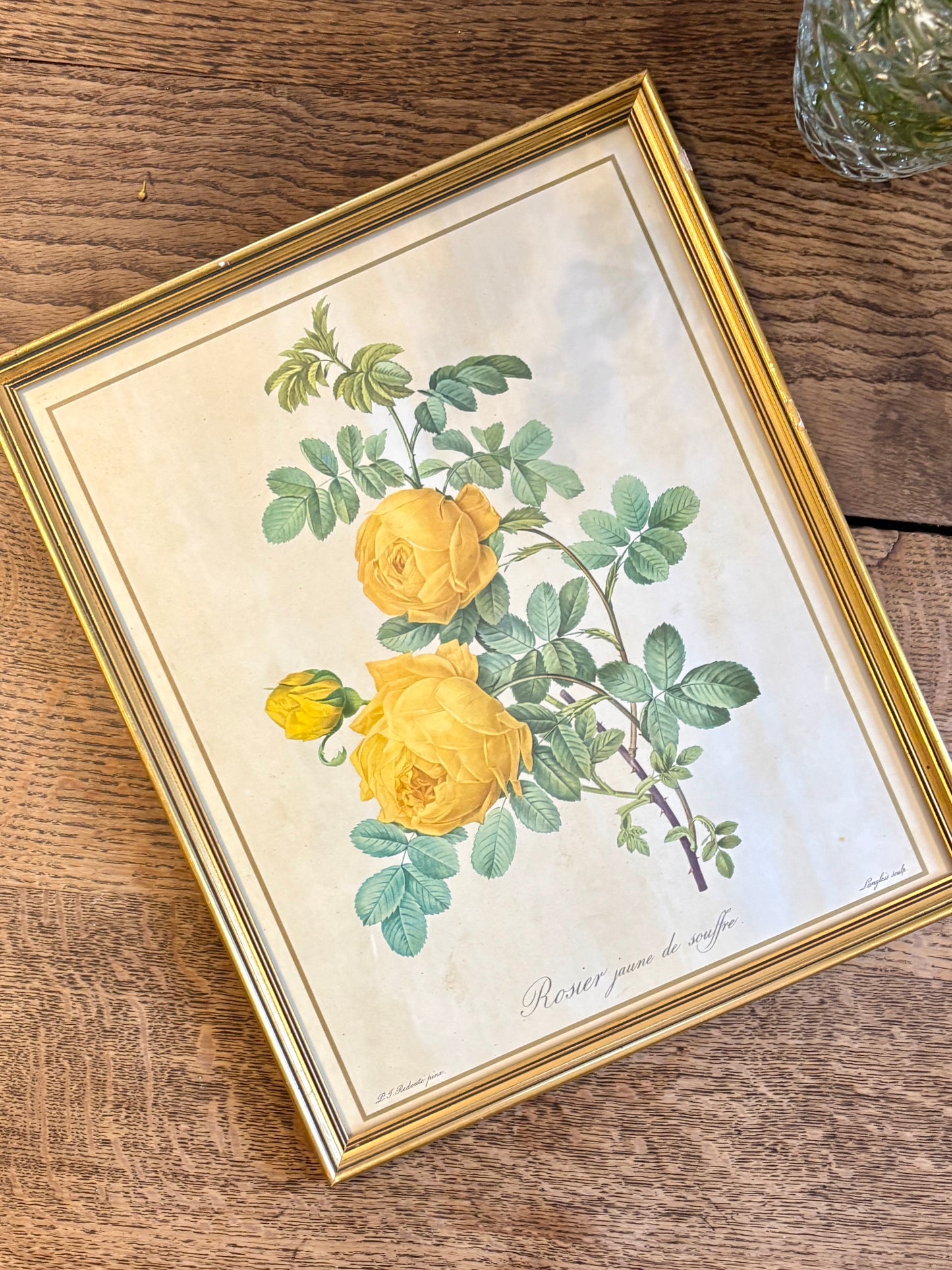 Cadre ancien rose jaune Redouté