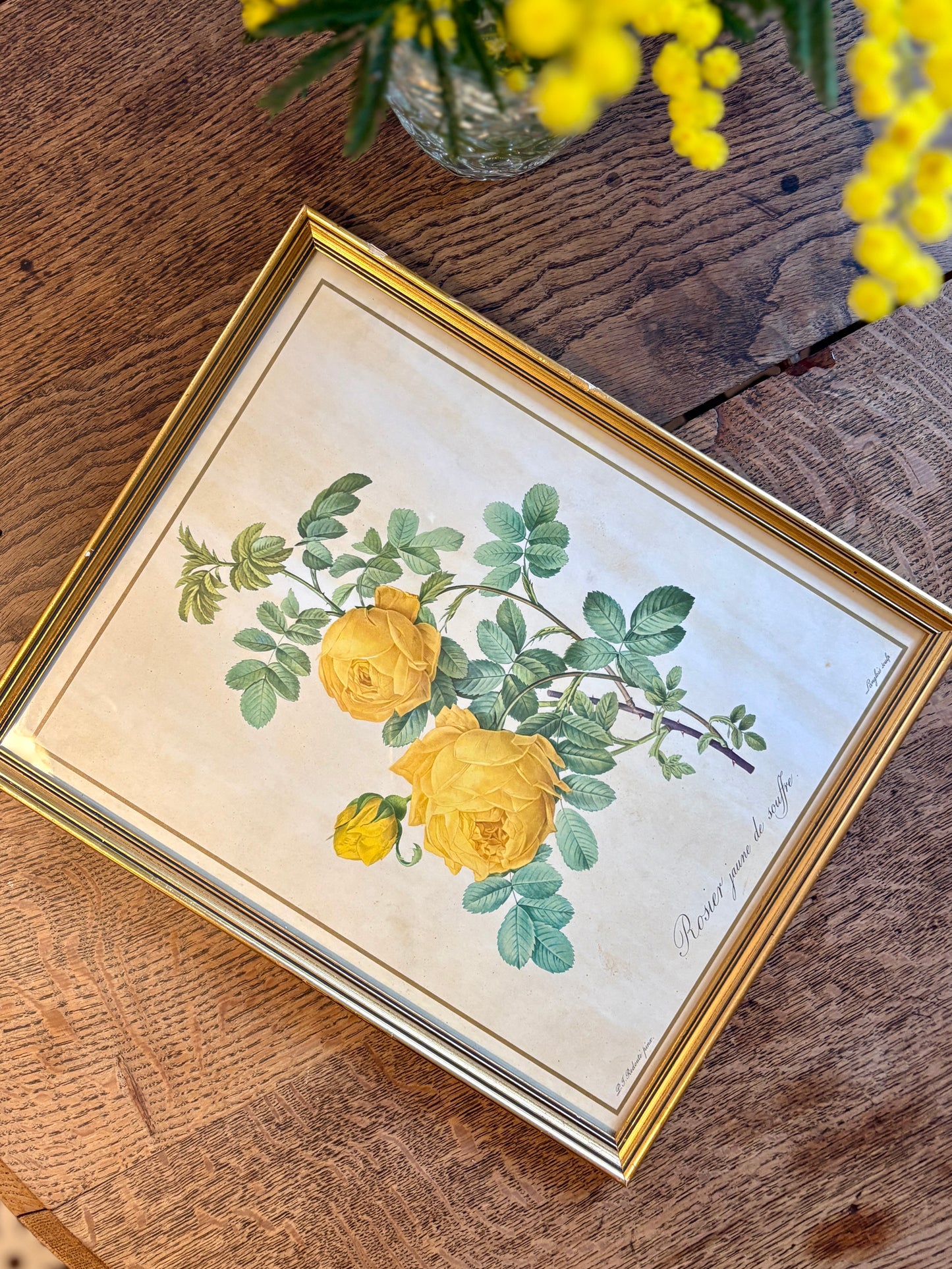 Cadre ancien rose jaune Redouté