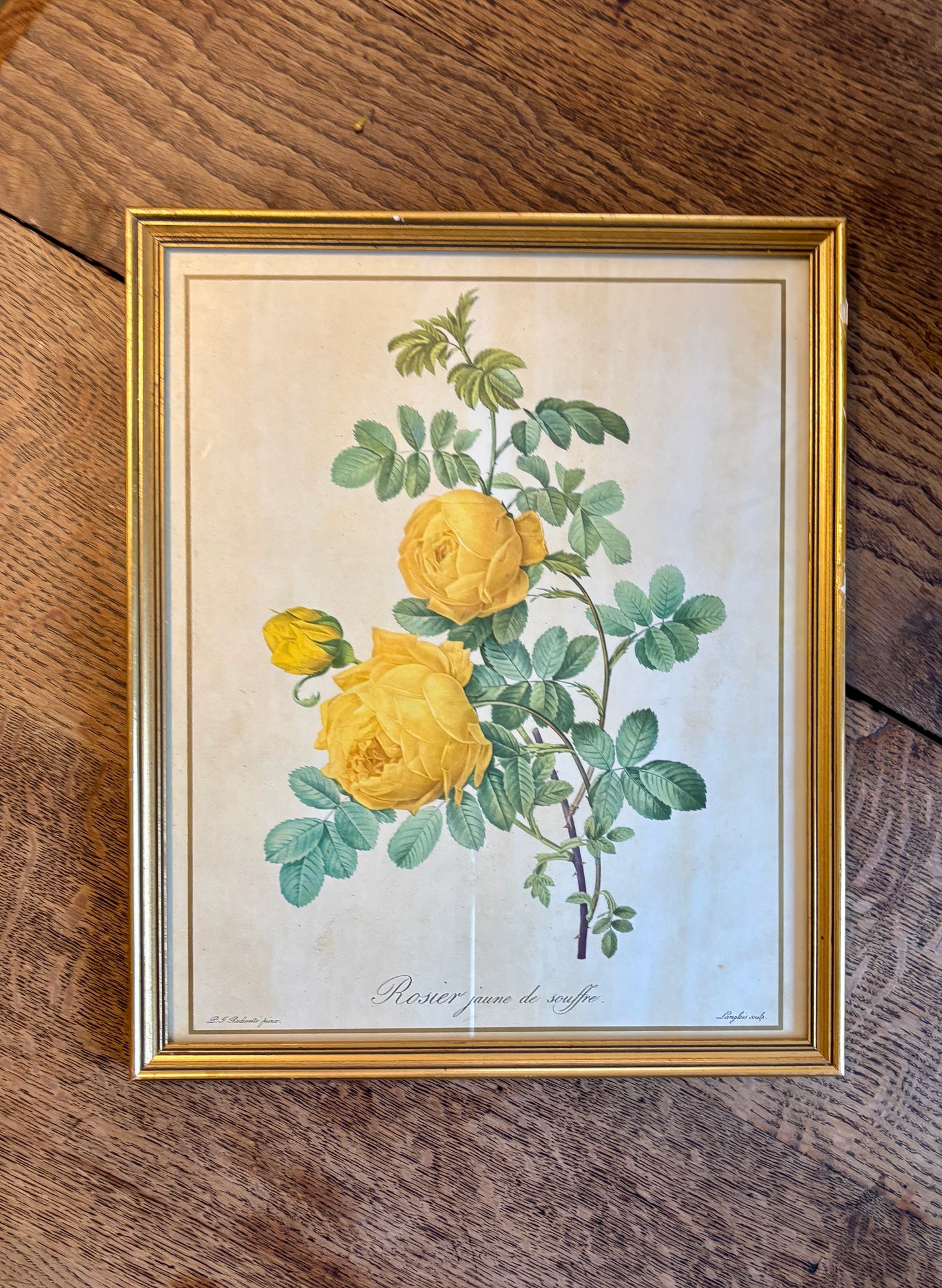 Cadre ancien rose jaune Redouté