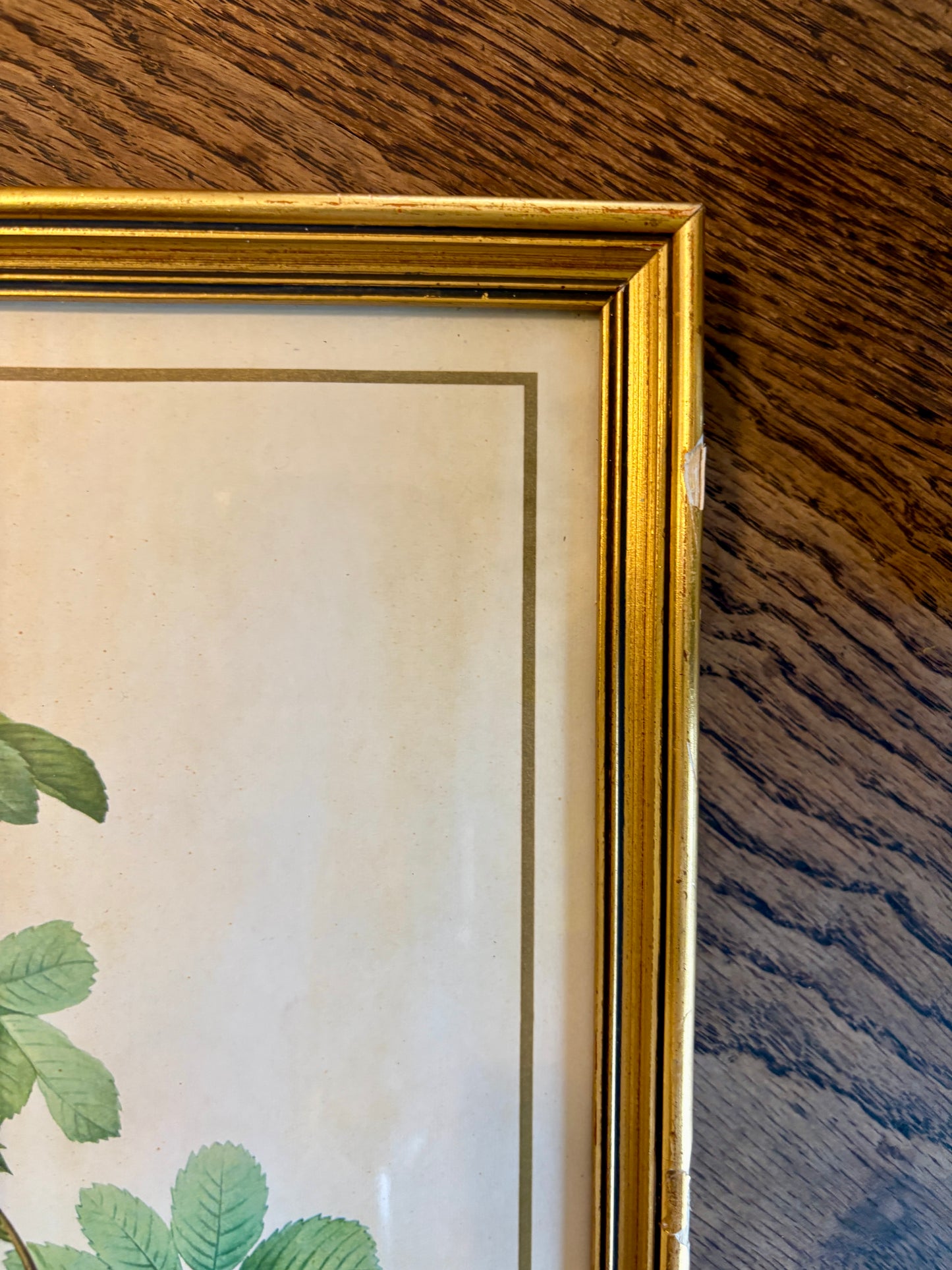 Cadre ancien rose jaune Redouté