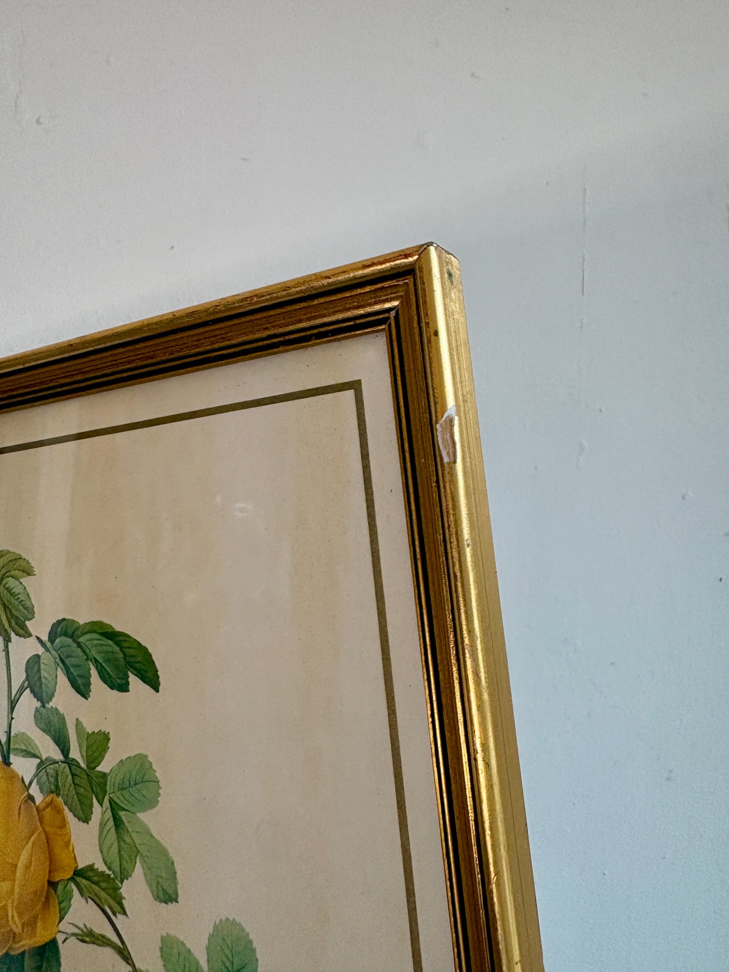 Cadre ancien rose jaune Redouté