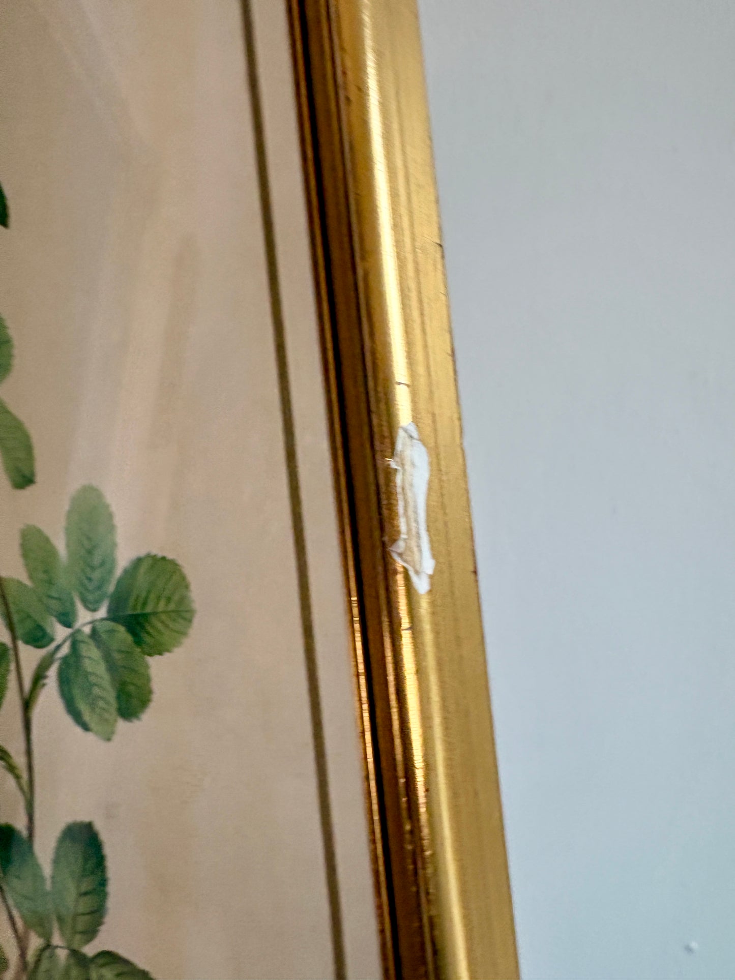 Cadre ancien rose jaune Redouté