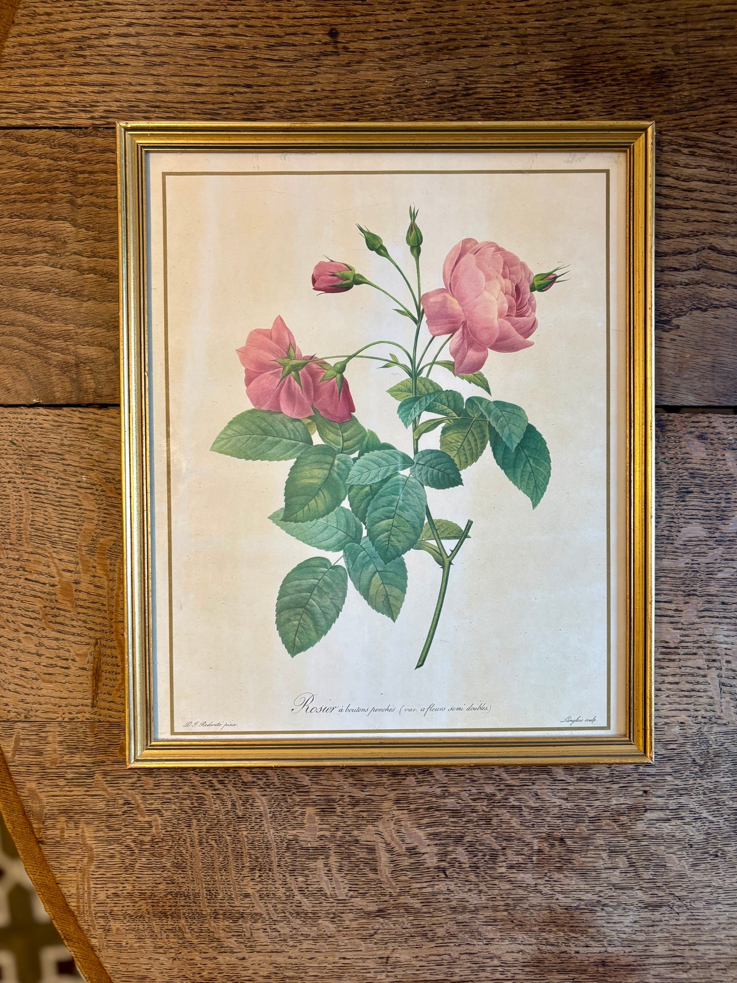 Cadre ancien roses Redouté