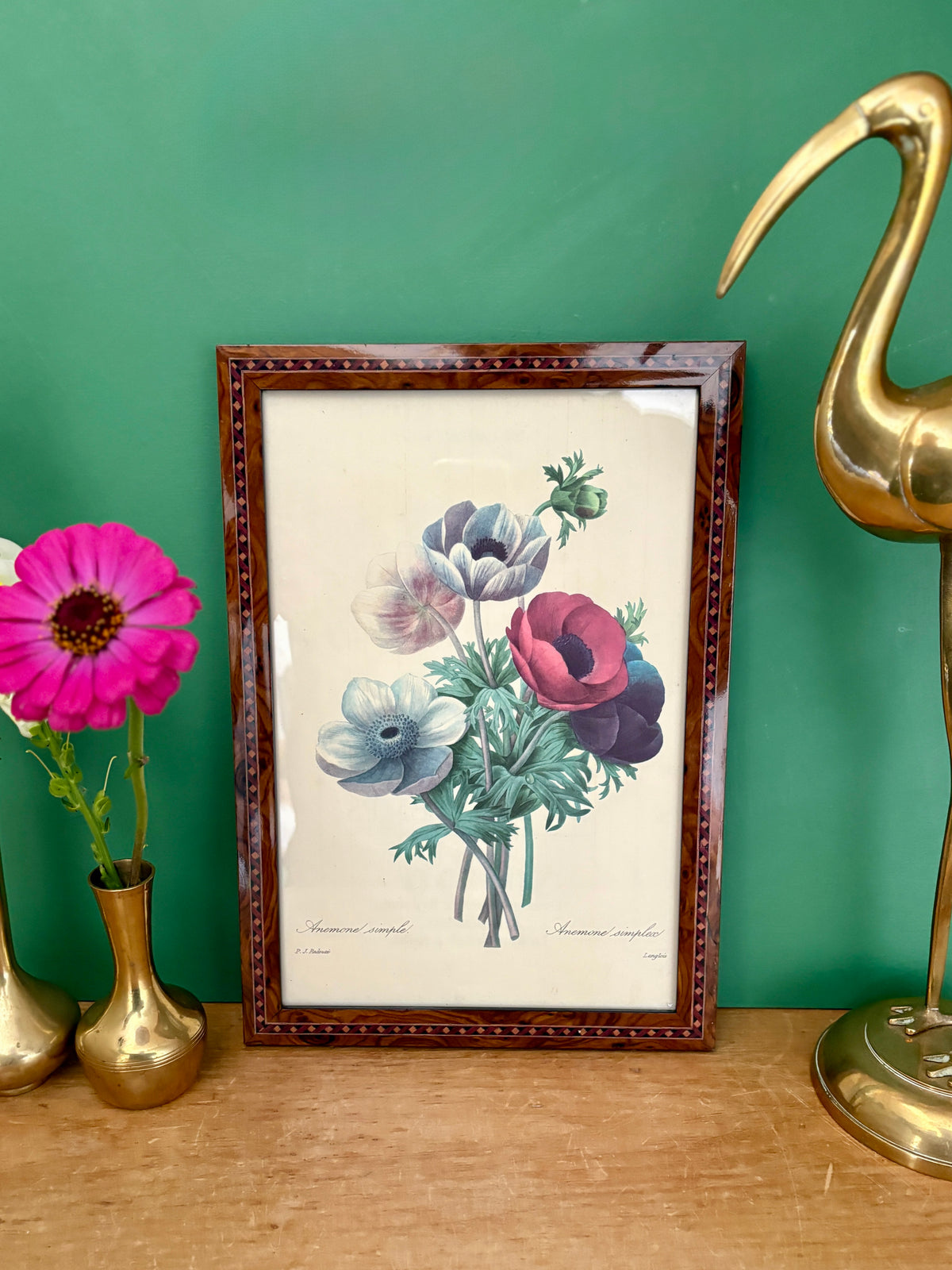 Cadre vintage dessin d'anémones de Redouté