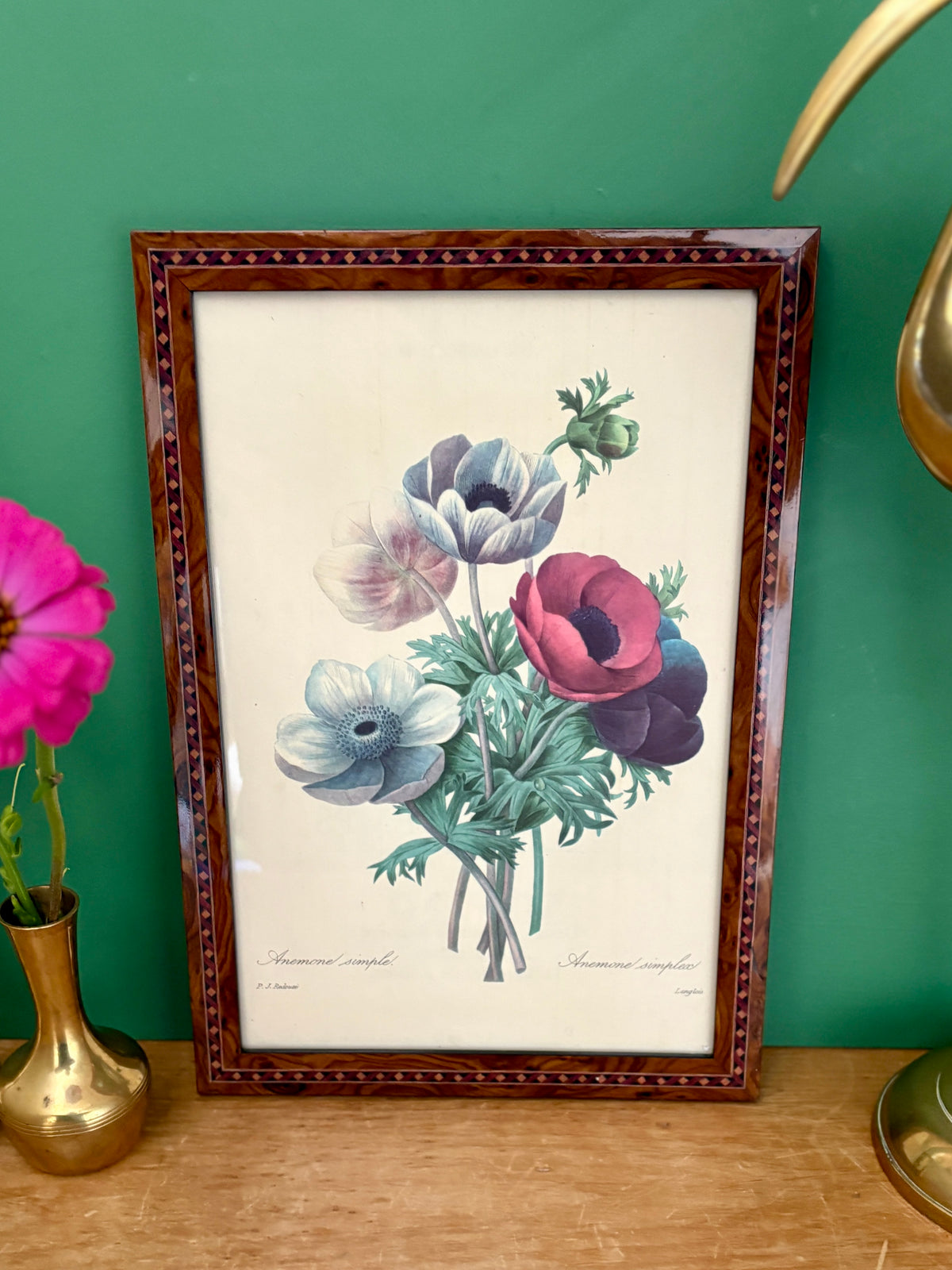 Cadre vintage dessin d'anémones de Redouté
