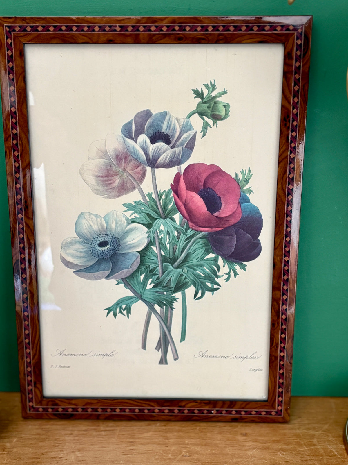 Cadre vintage dessin d'anémones de Redouté