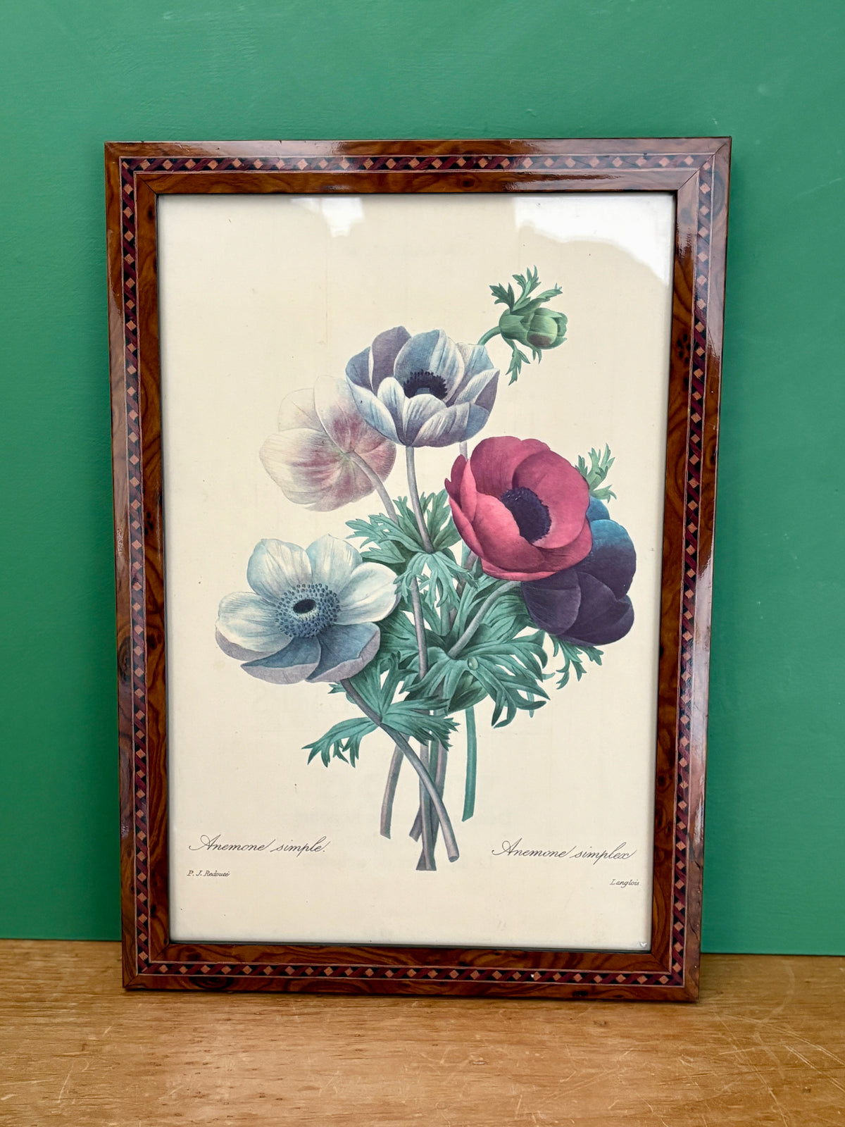 Cadre vintage dessin d'anémones de Redouté