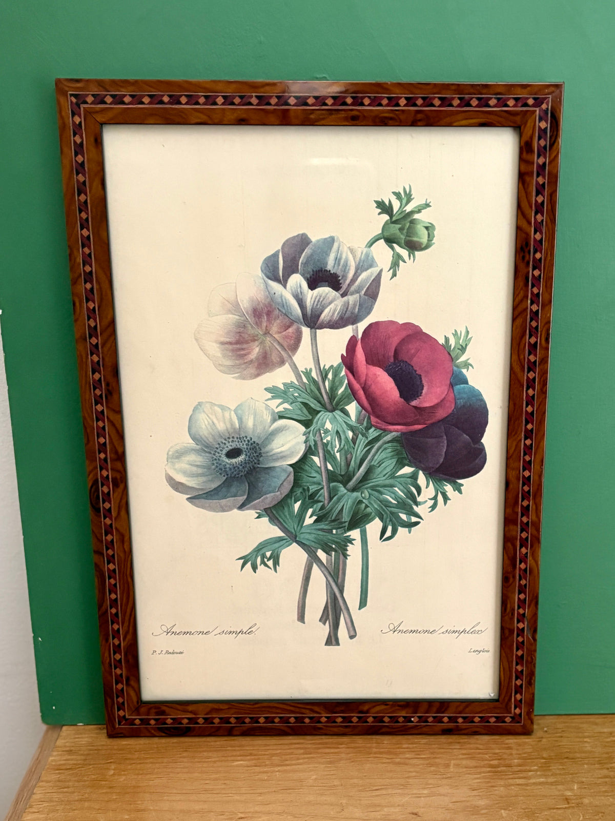 Cadre vintage dessin d'anémones de Redouté