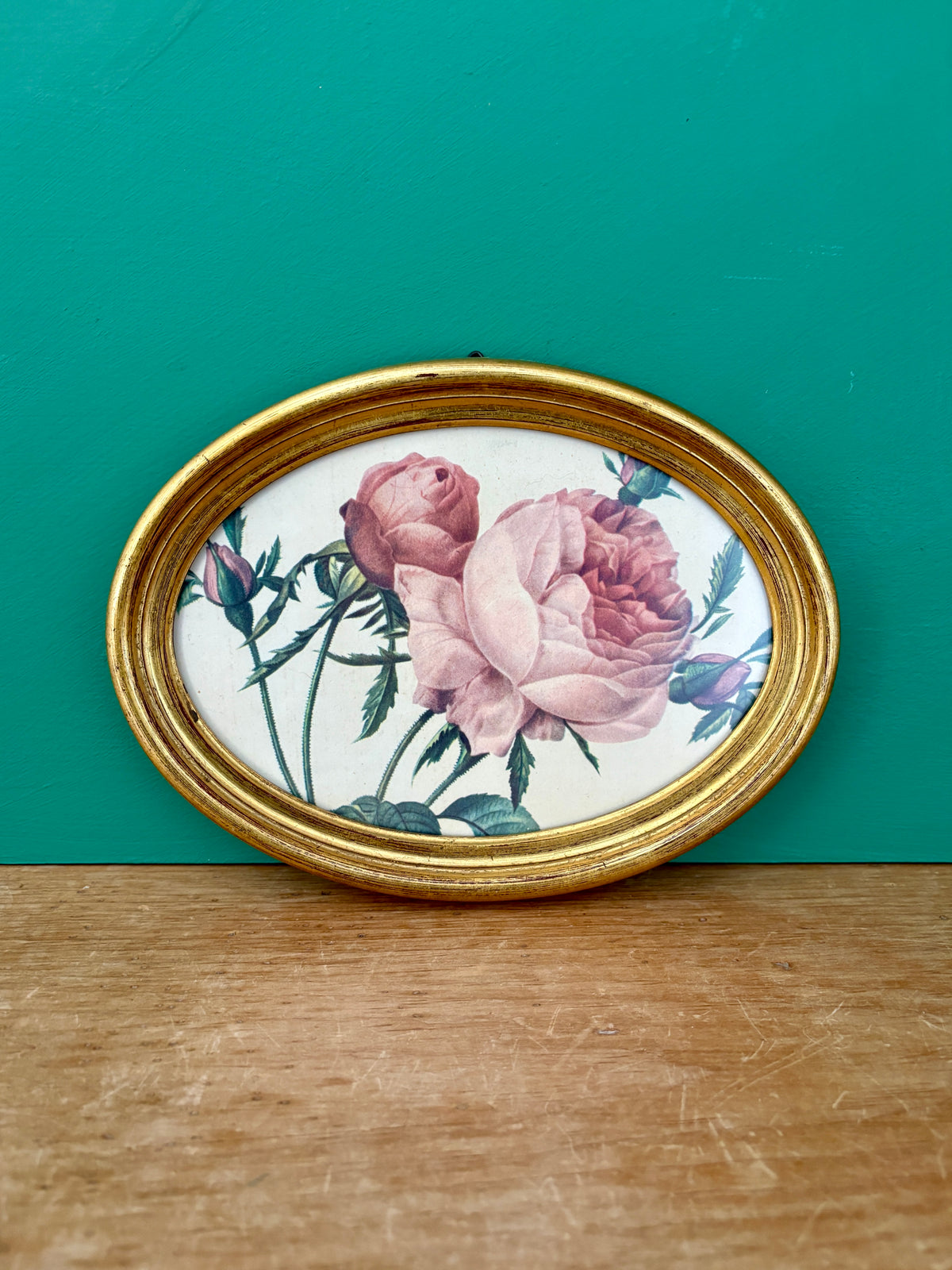 Cadre vintage et rose de Redouté