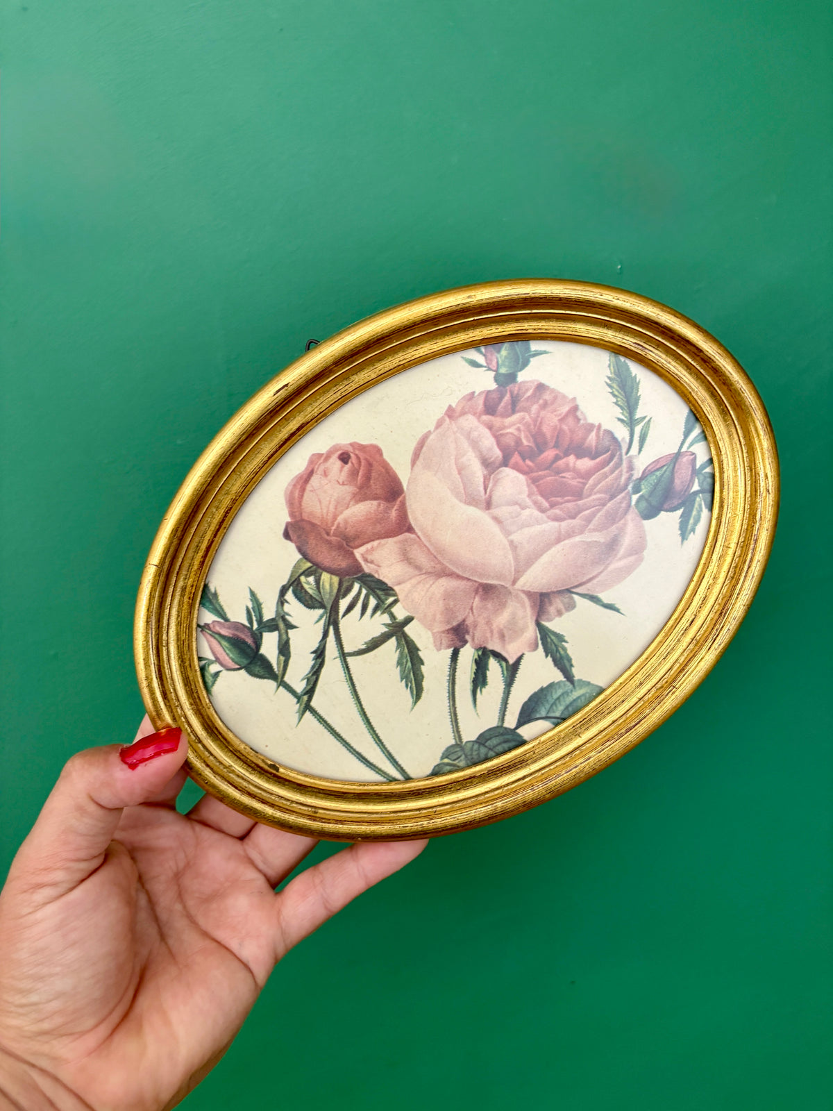 Cadre vintage et rose de Redouté
