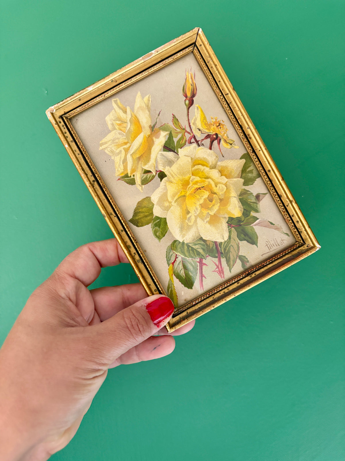 Lot de 4 cadres fleurs vintage