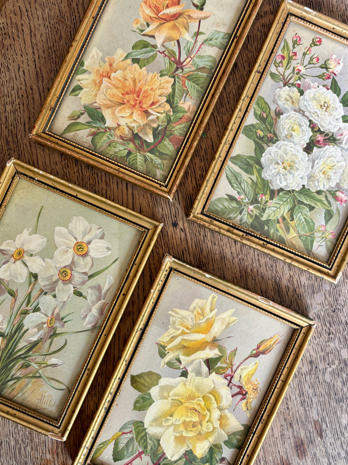 Lot de 4 cadres fleurs vintage
