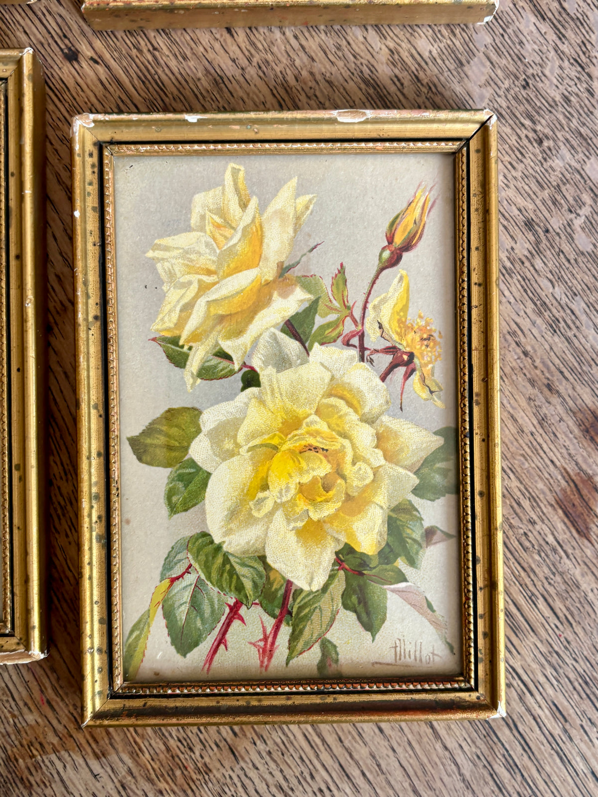Lot de 4 cadres fleurs vintage