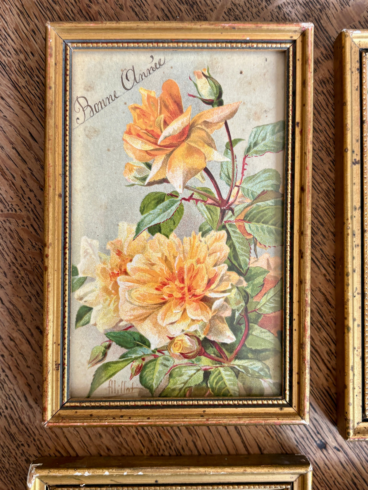 Lot de 4 cadres fleurs vintage