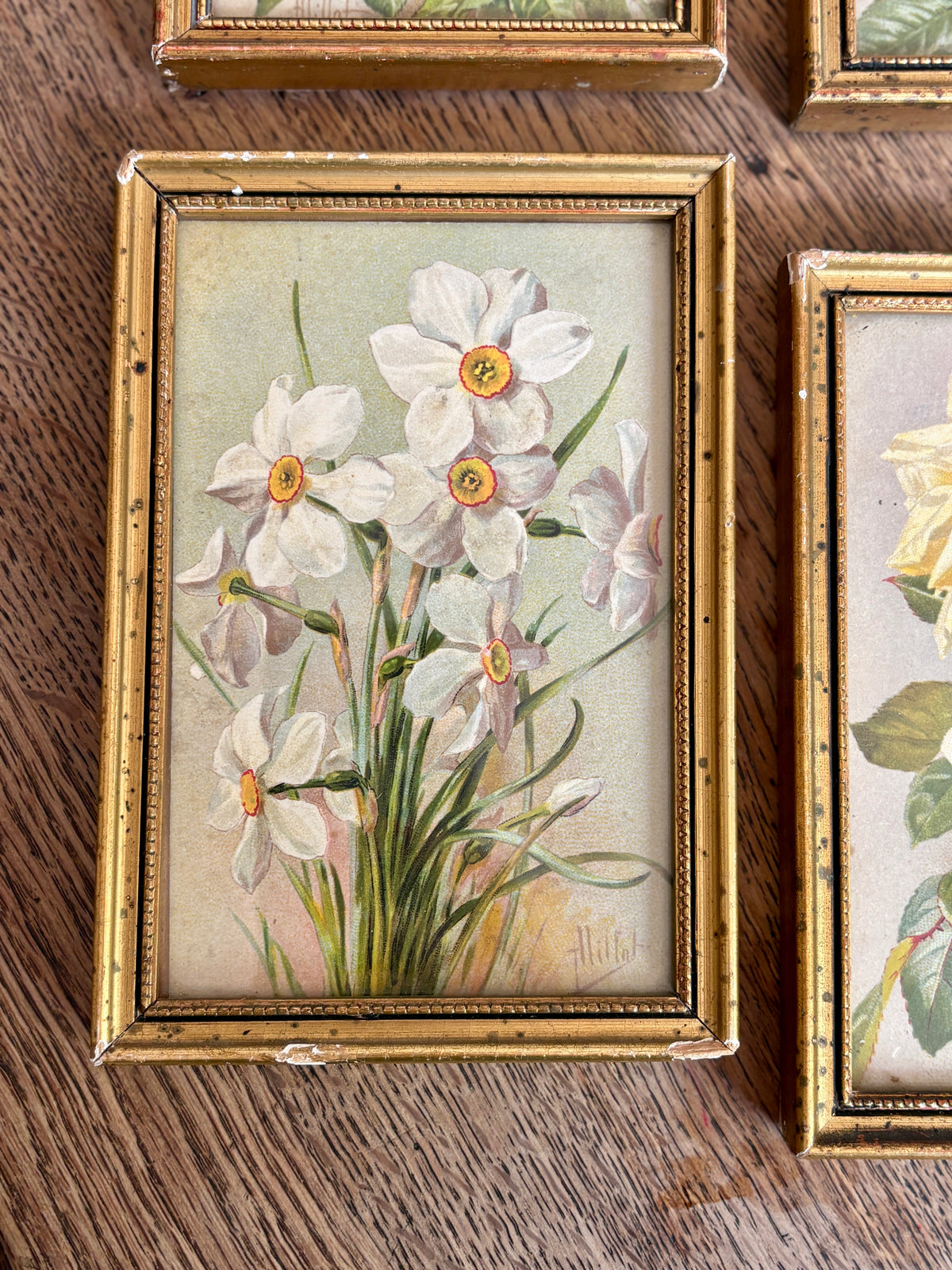Lot de 4 cadres fleurs vintage