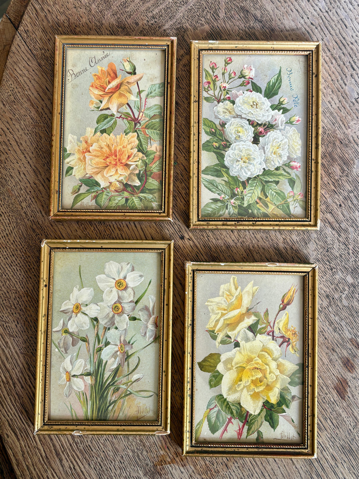 Lot de 4 cadres fleurs vintage
